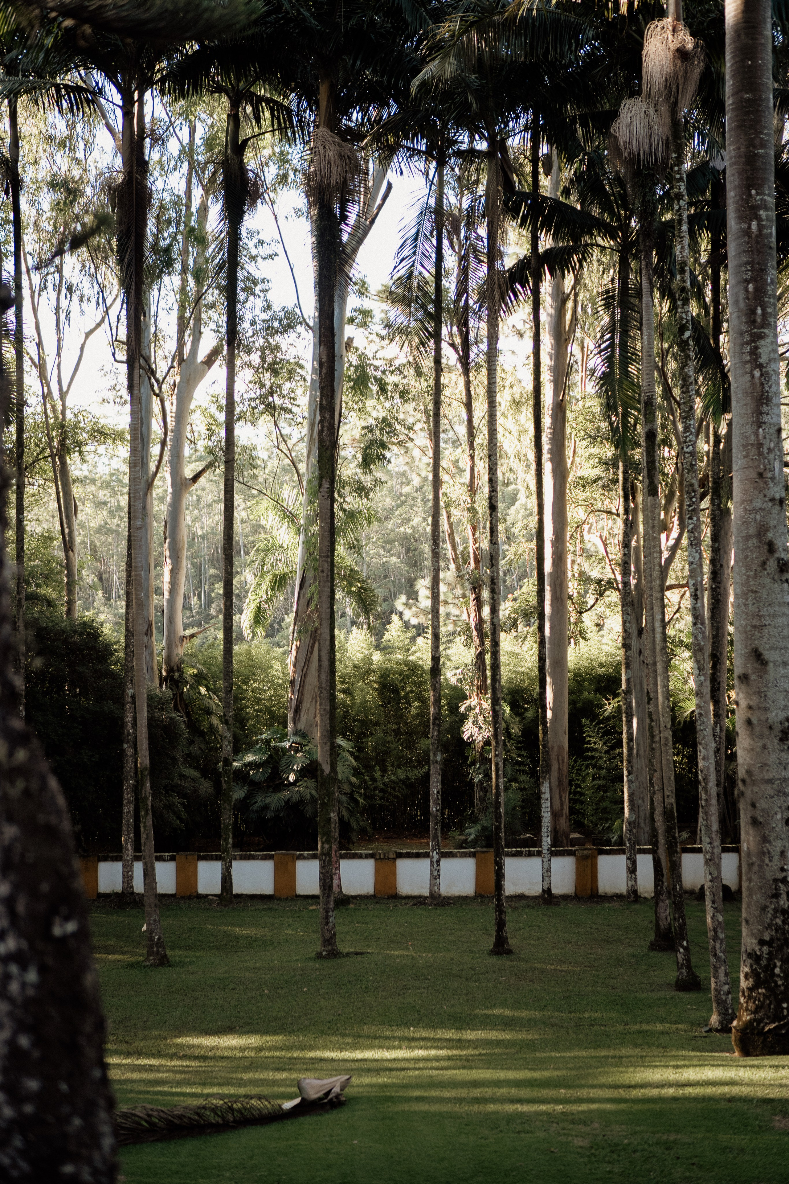 Johanna & Felipe. Congiu Wedding
