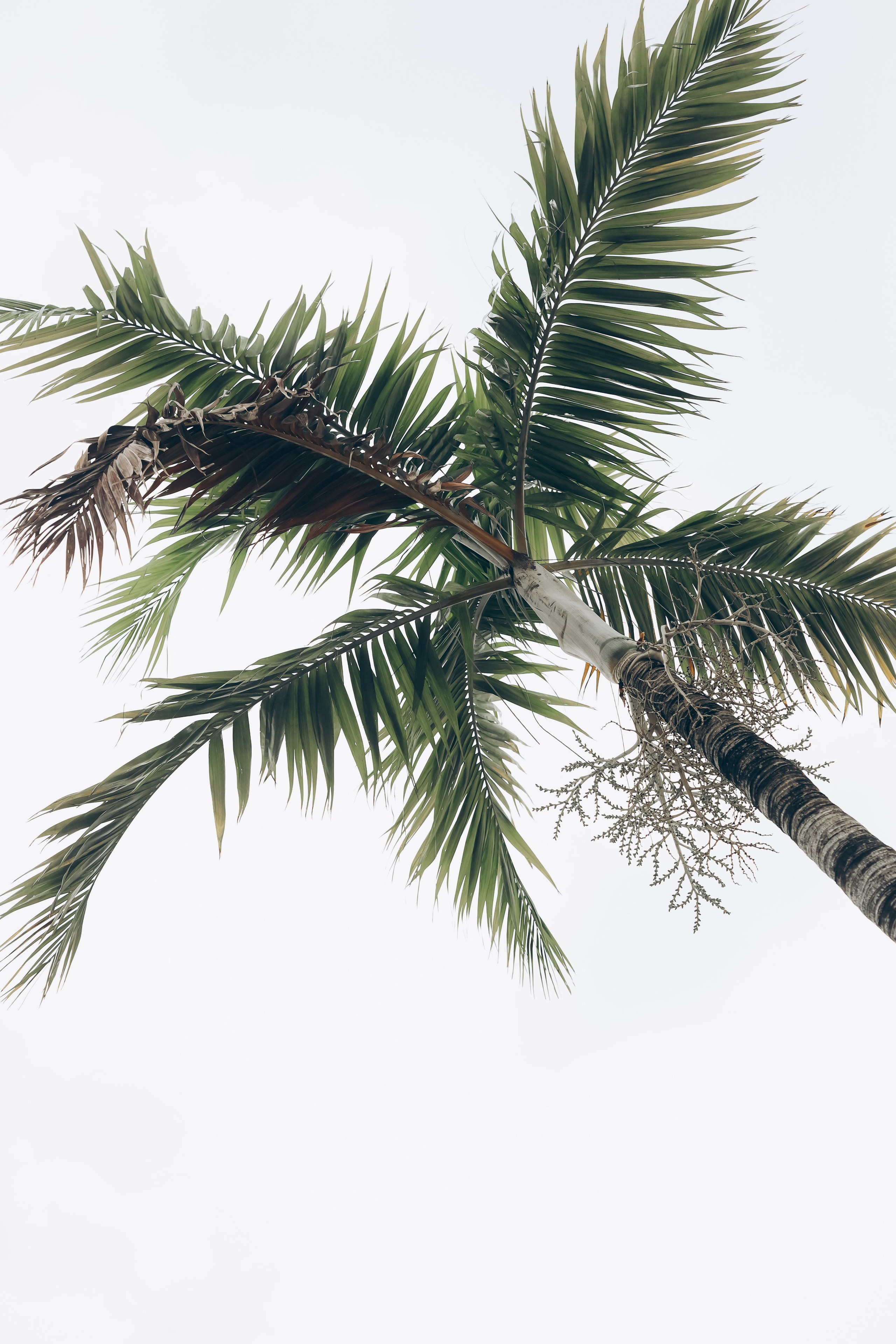 STREET. TETIANA UDOVYCHENKO PORTRAIT PHOTOGRAPHER