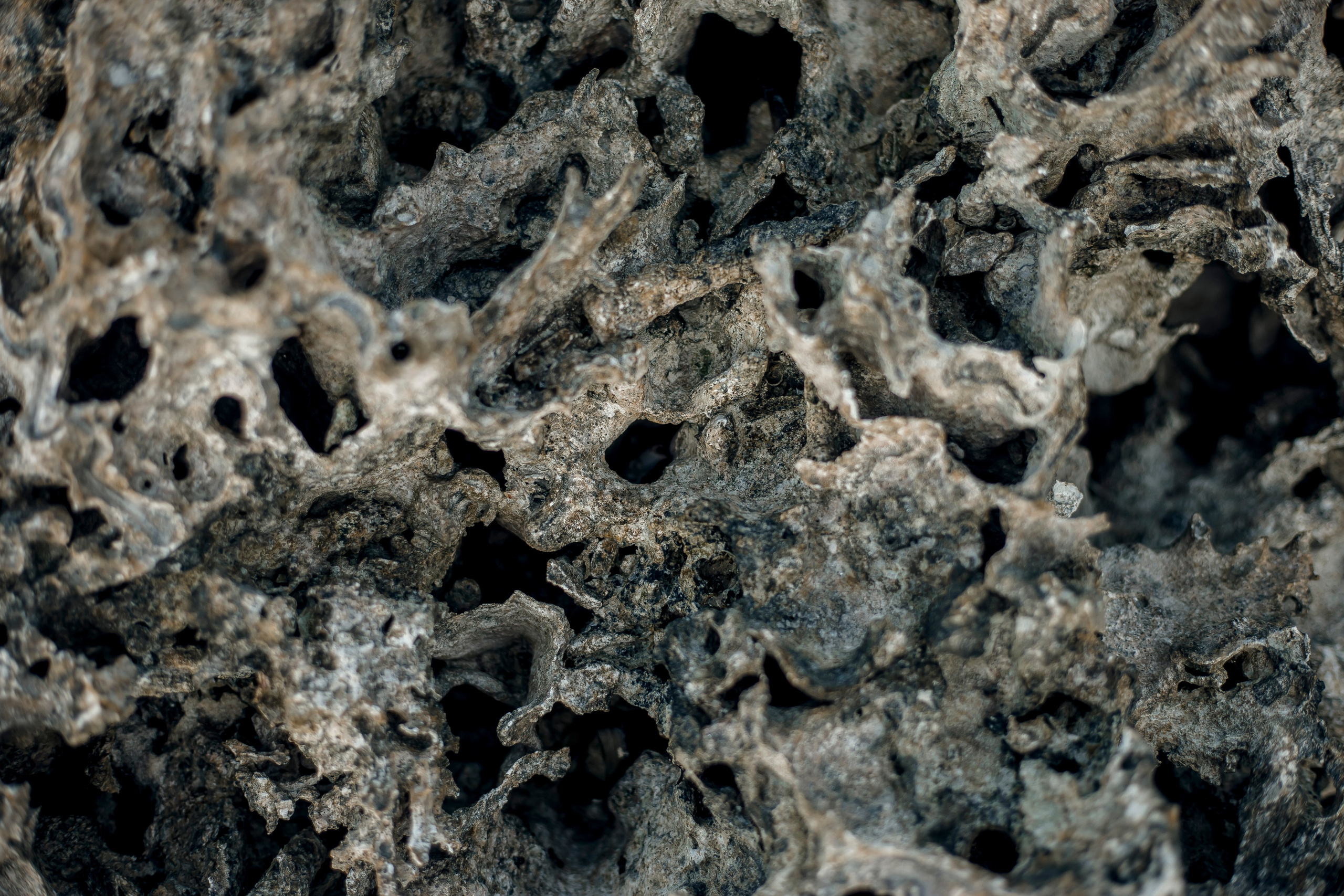 Andaman Islands, Part2. Art Photographer