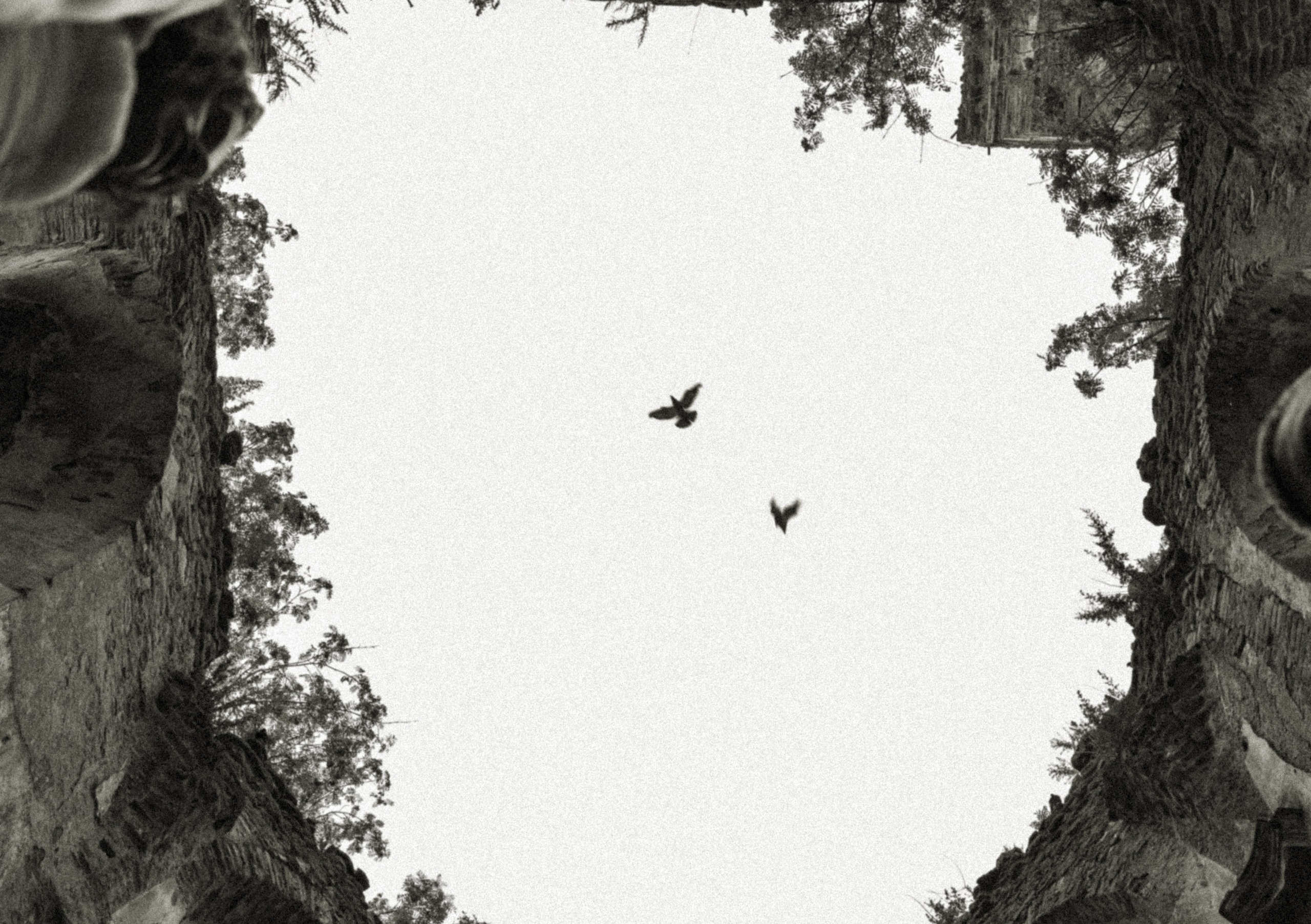 Balade en moto. Histoires d’amour, séances photos de famille et de mariage en France