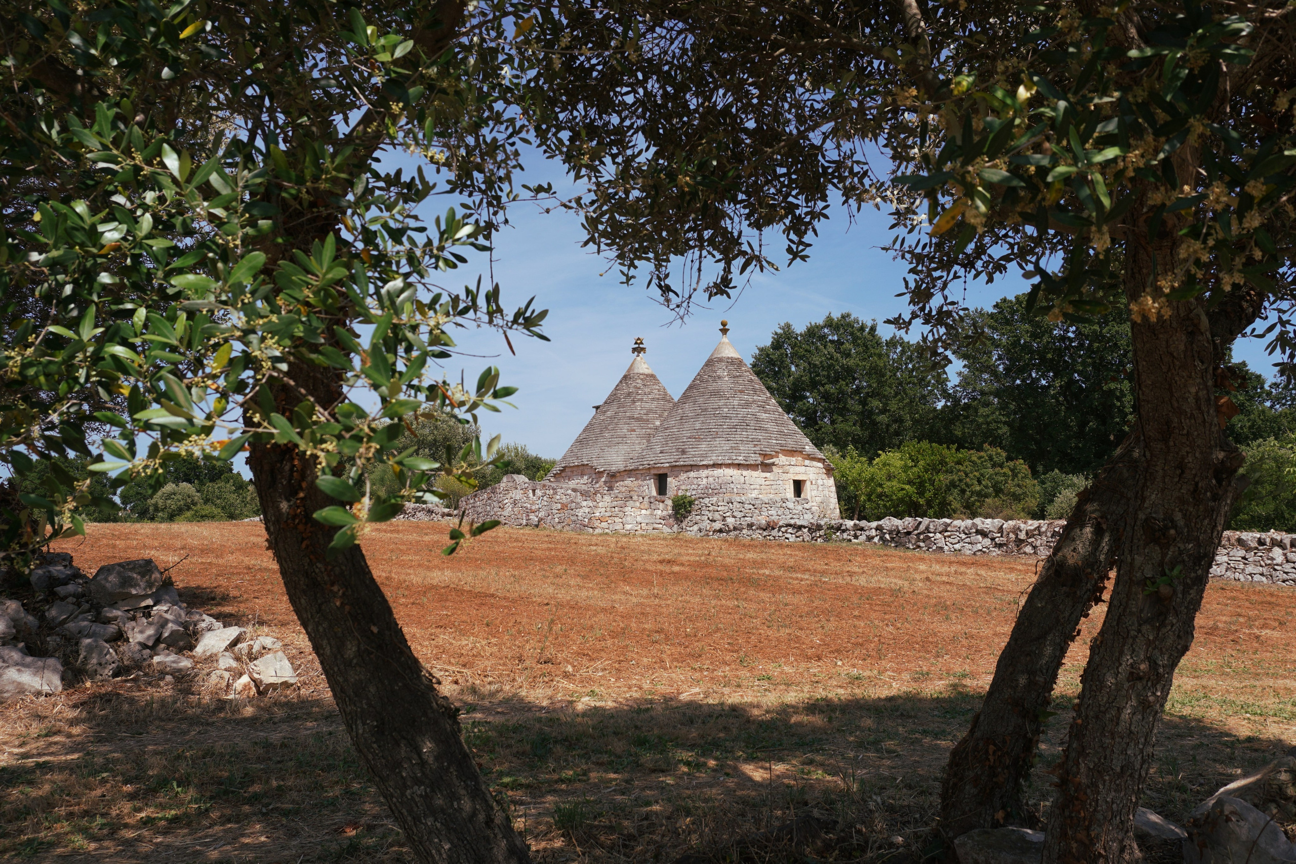 TRULLI, MARTINA FRANCA. Альбина Сохова | Фотограф в Италии: портретные, семейные, свадебные и коммерческие съёмки