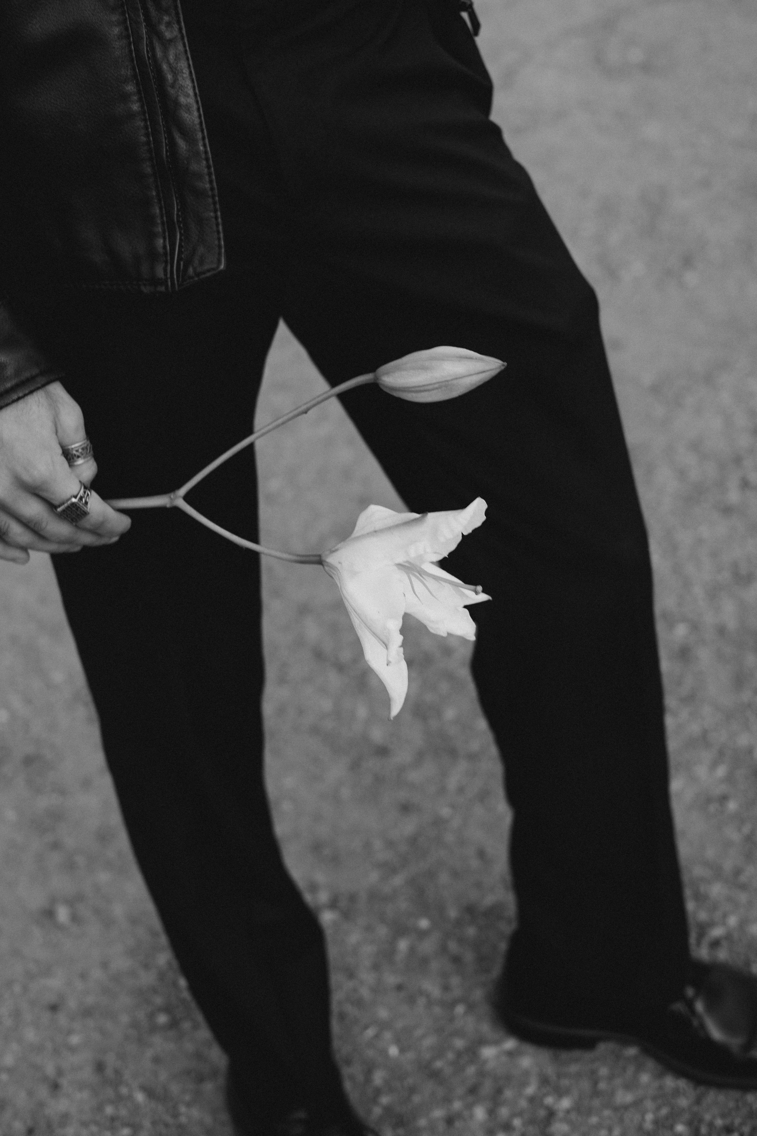 The Proposal. Love story and family photographer in San Francisco Oksana Shvets