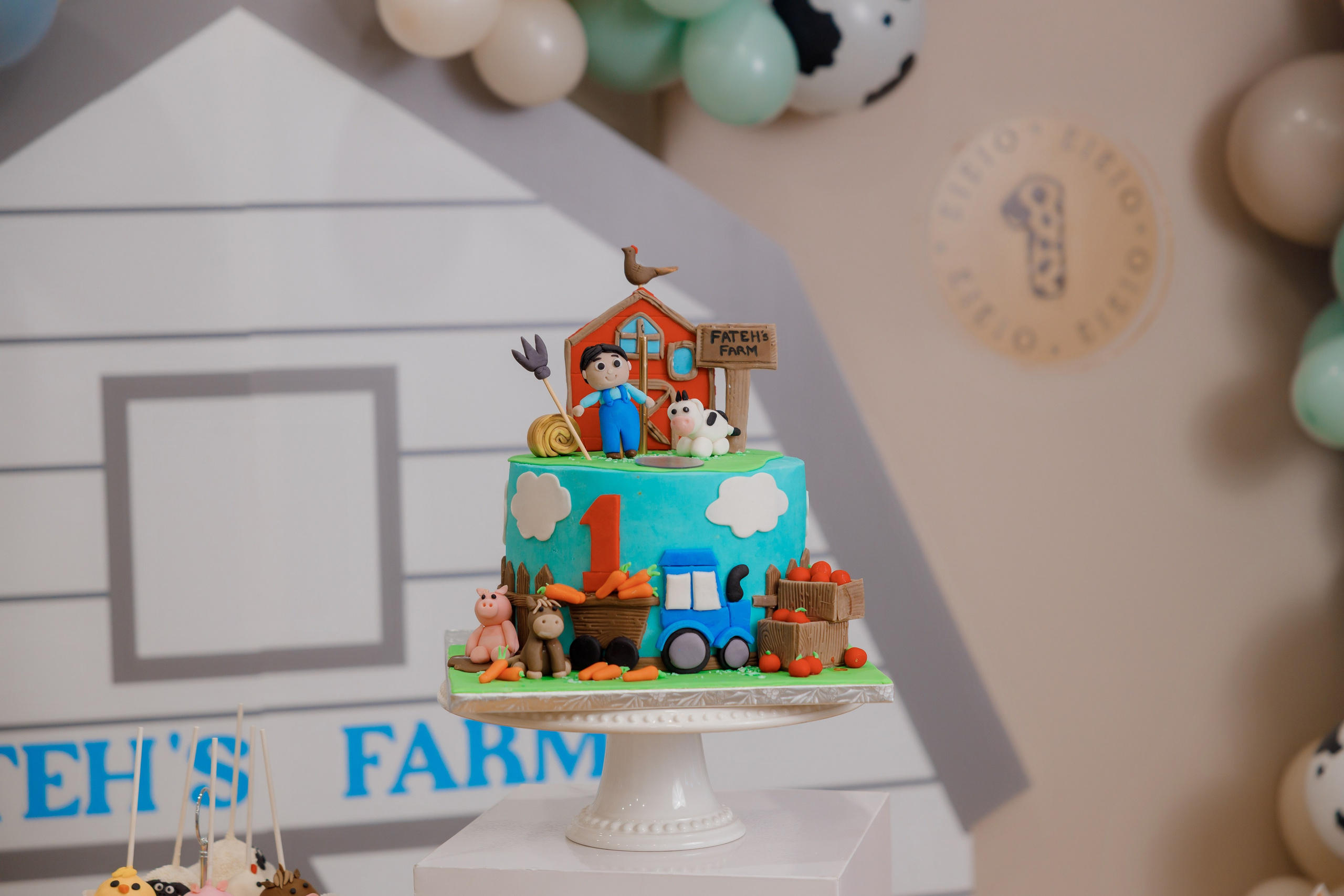 Fateh’s 1st birthday. Home