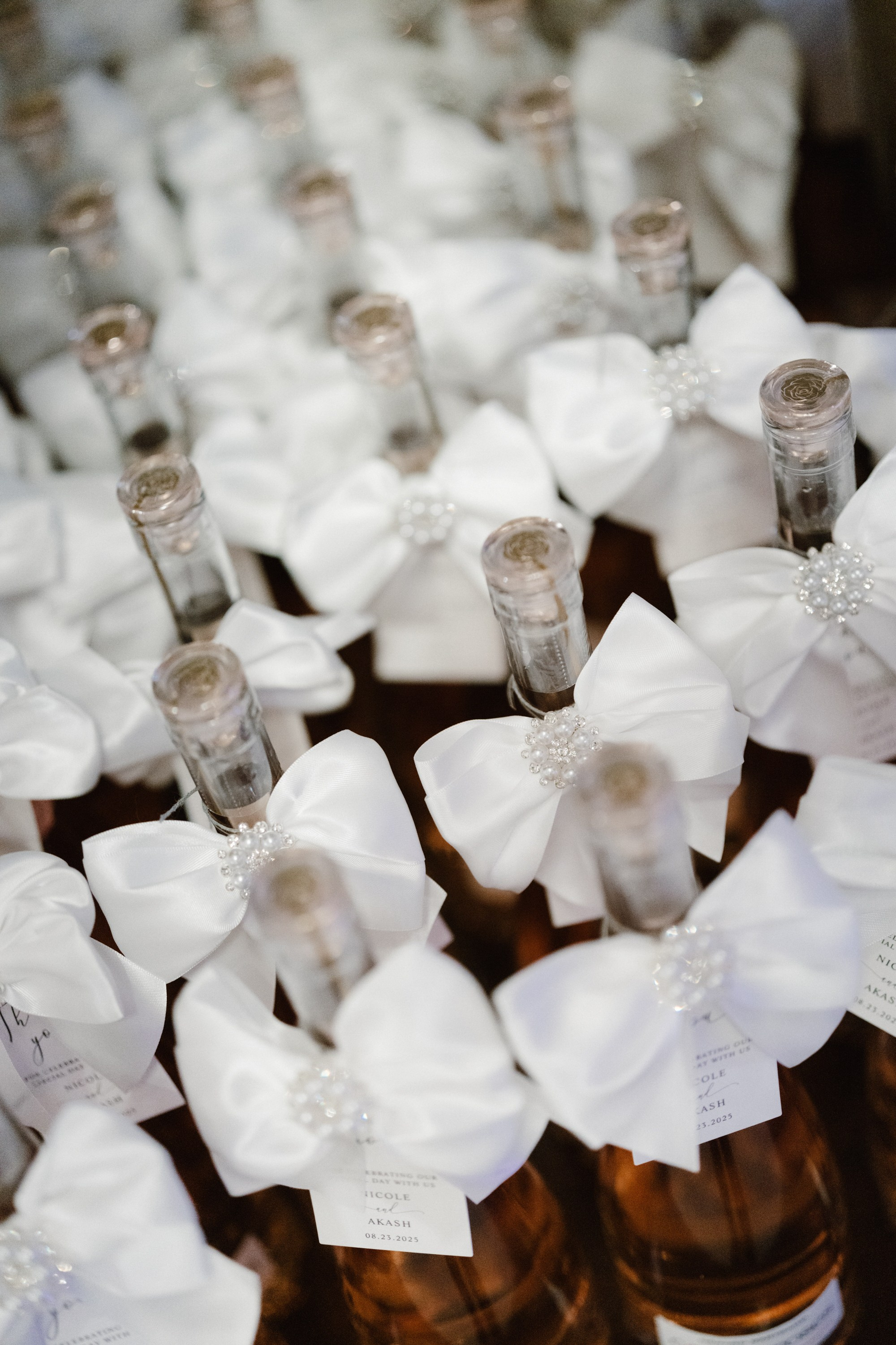 Nicole and Akash. Wedding photographer and videographer New York | New Jersey