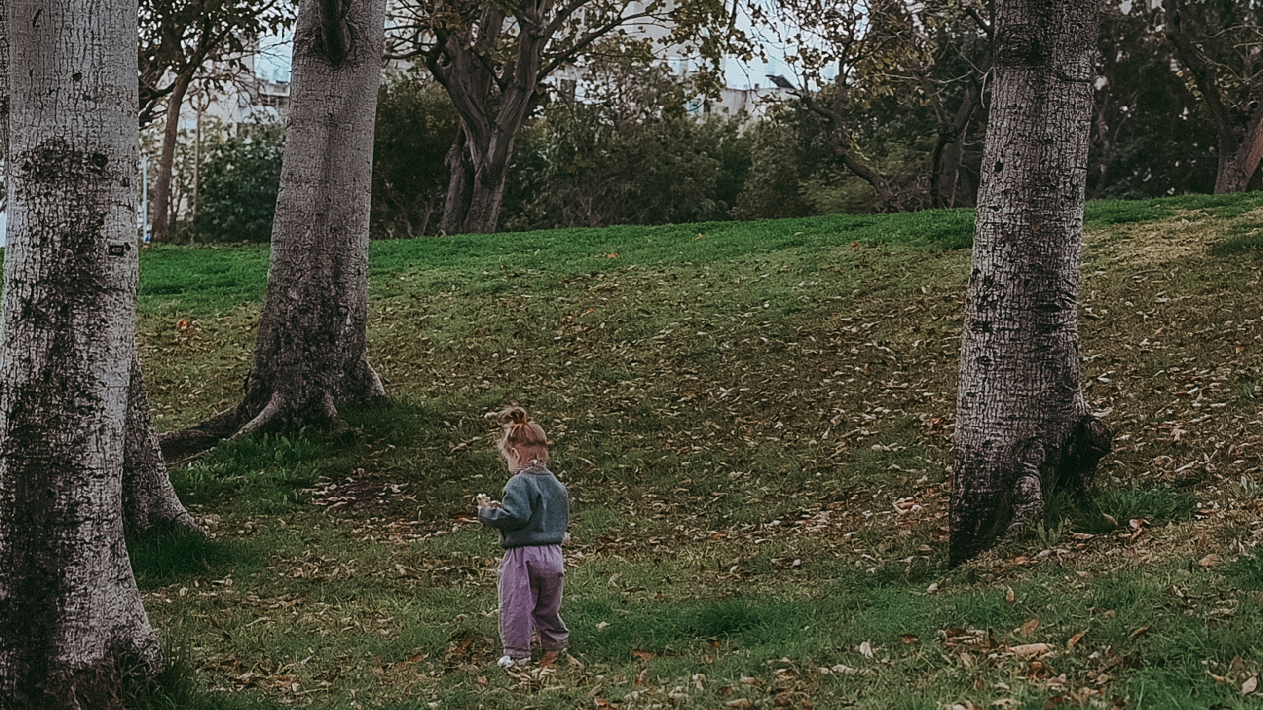 Birthday Miya 2 Years. KATY GOLD PHOTOGRAPHY