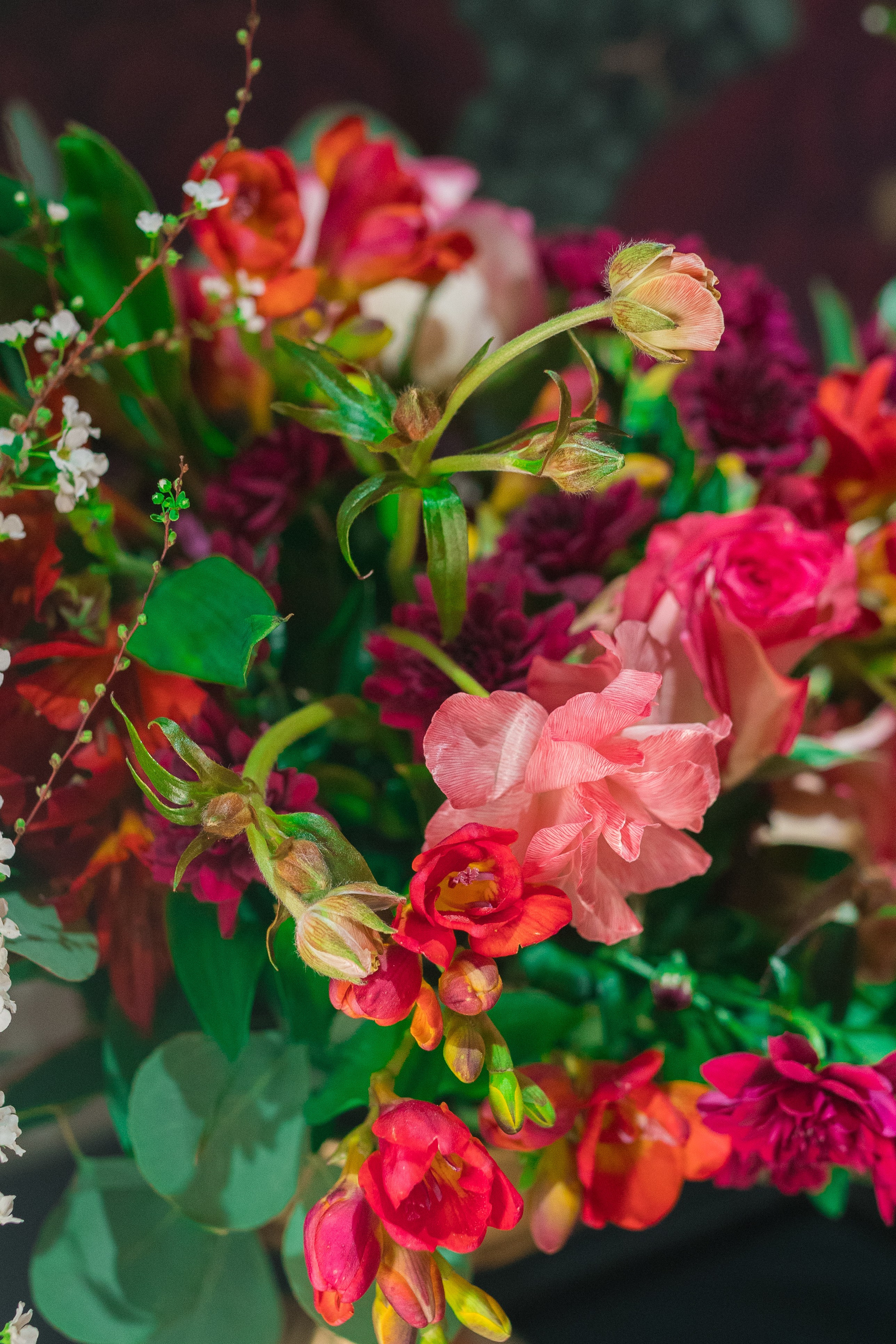 Timeless Bloom/ bohicare (2025). Студия декора «Нарния»