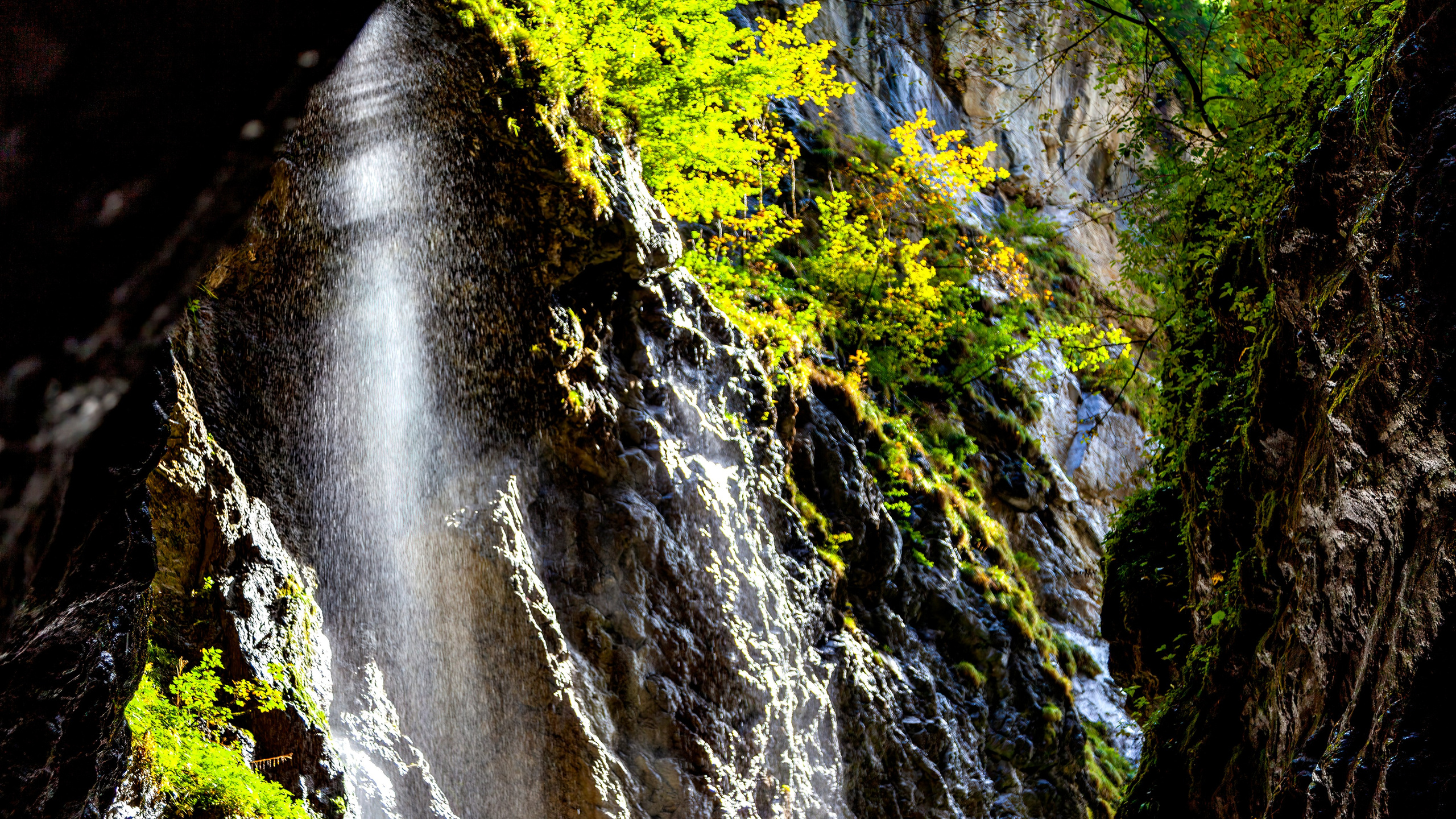 188.Partnachklamm Gorge.26.9.2024. Путешествия в формате 360......