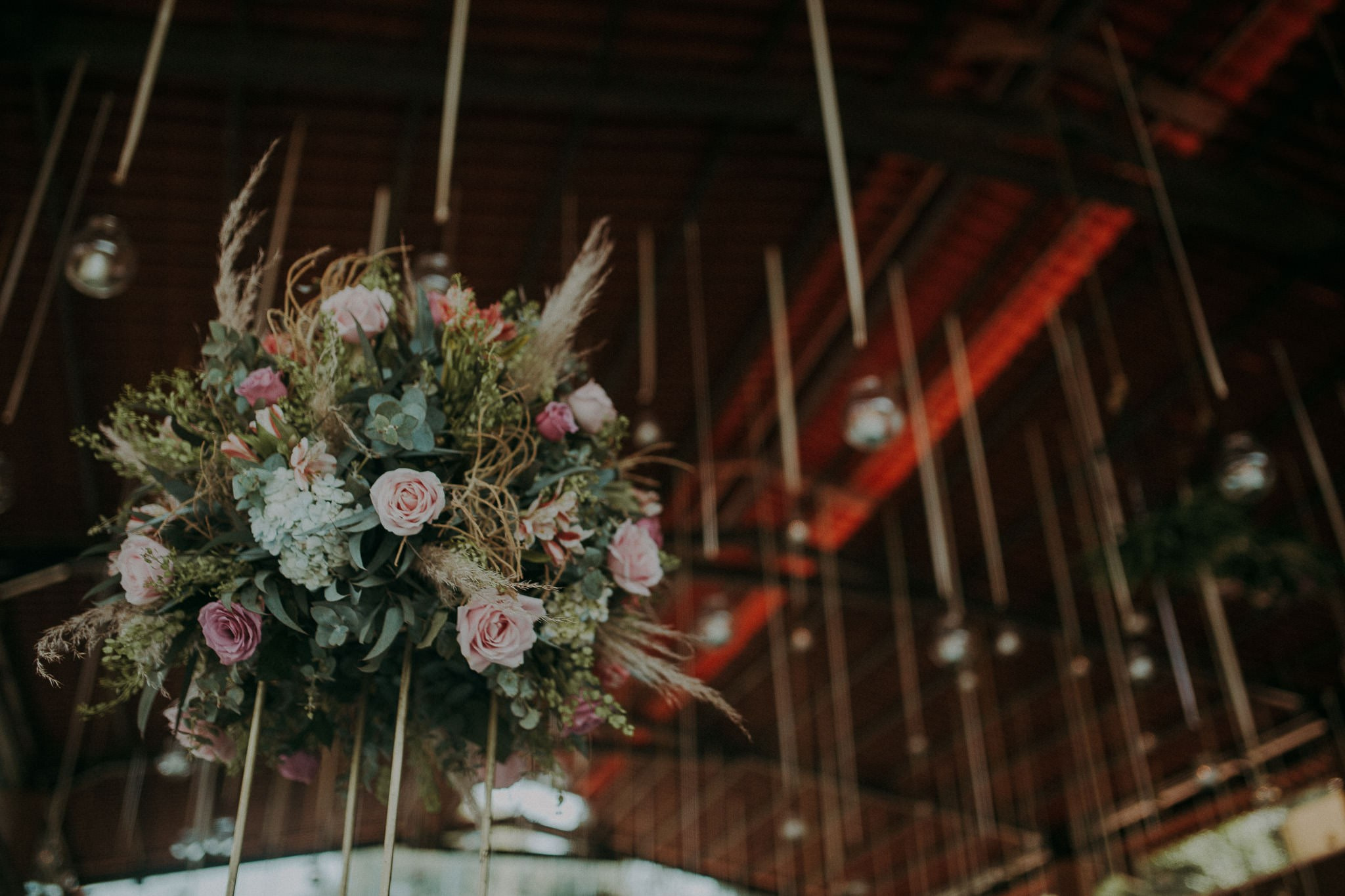 Sol & Cesar. Wedding and family photographer in Mexico City