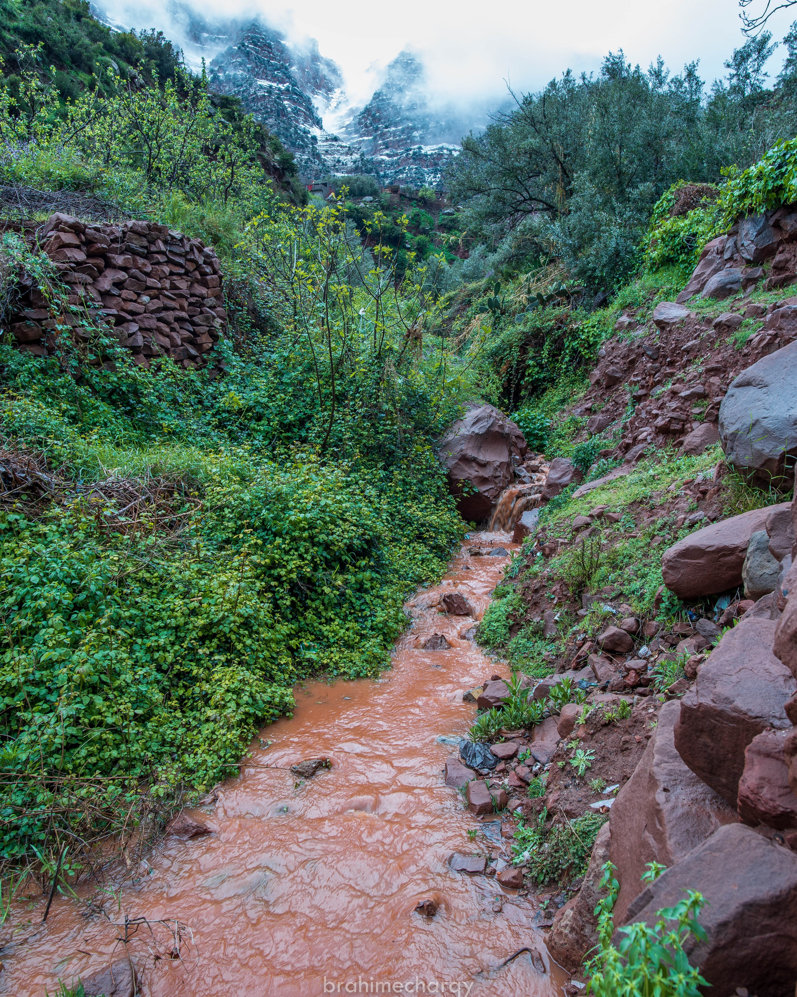 Фото. Брахим — фотограф