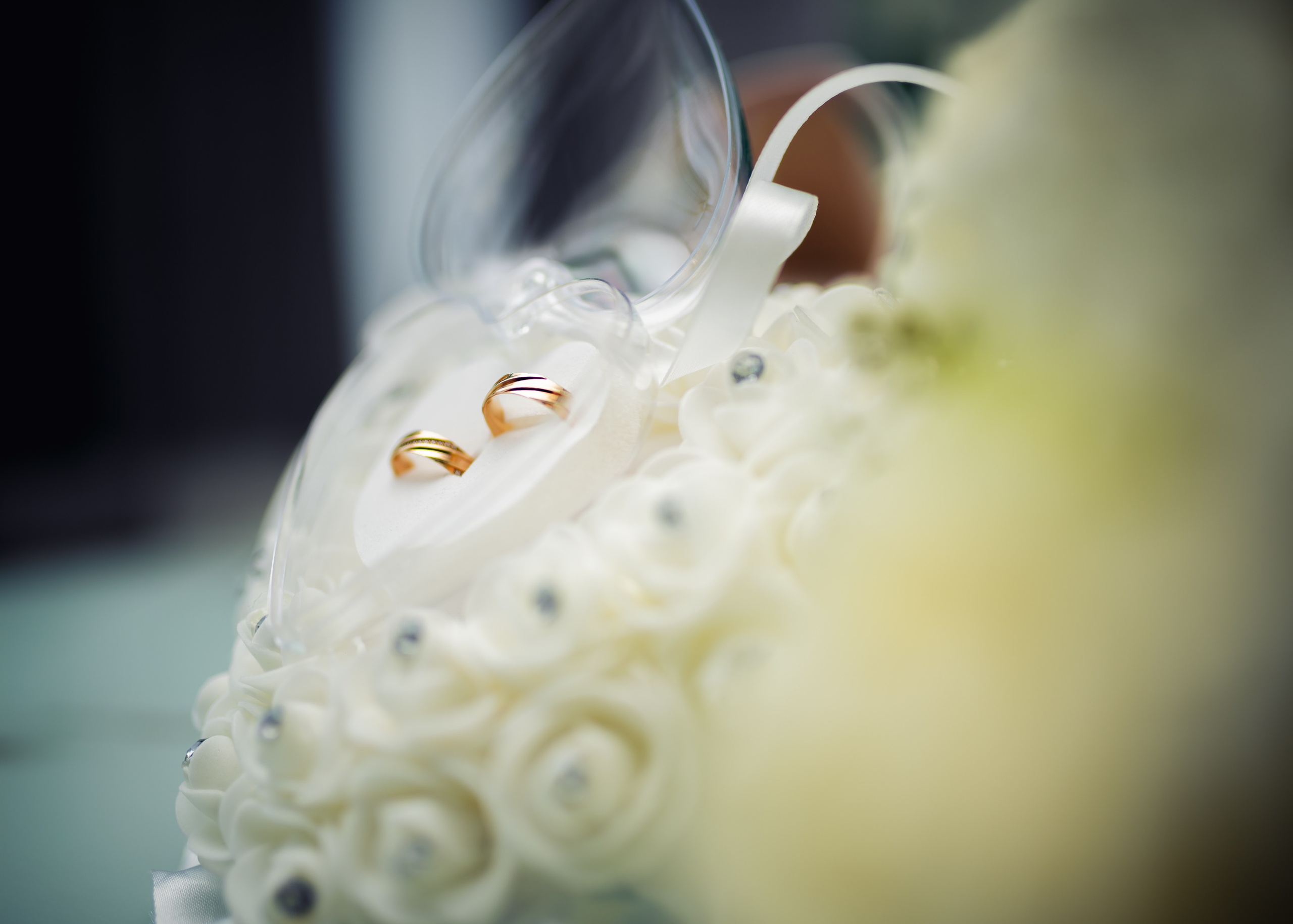 Cosmina & Nelu. Fotograf de nuntă în Germania