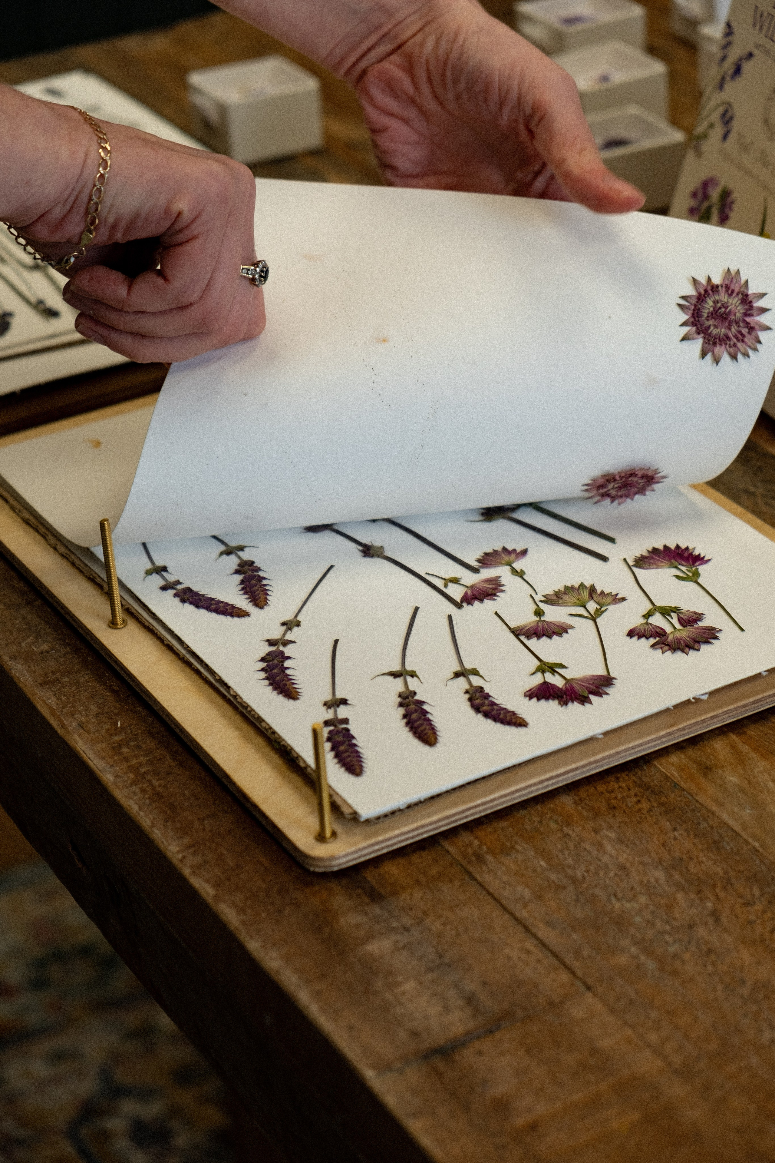 Studio. Síog Botanicals. Alforlove.com