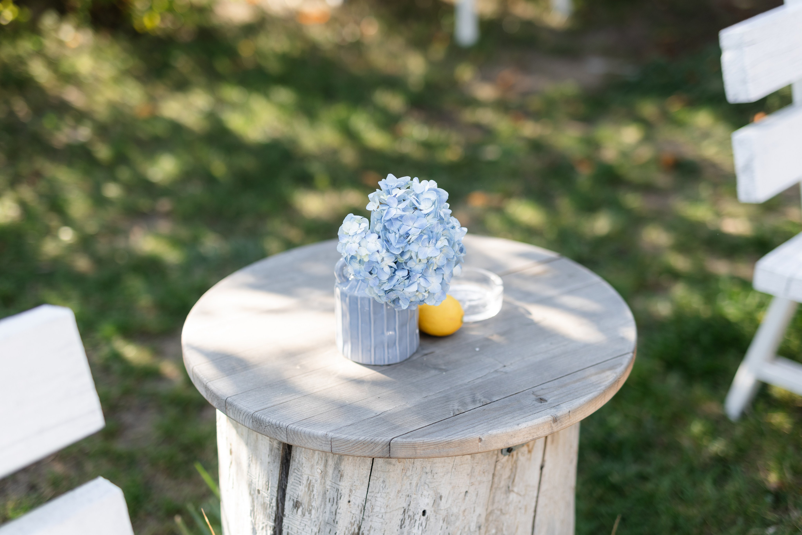 Natalia & Costin. Main