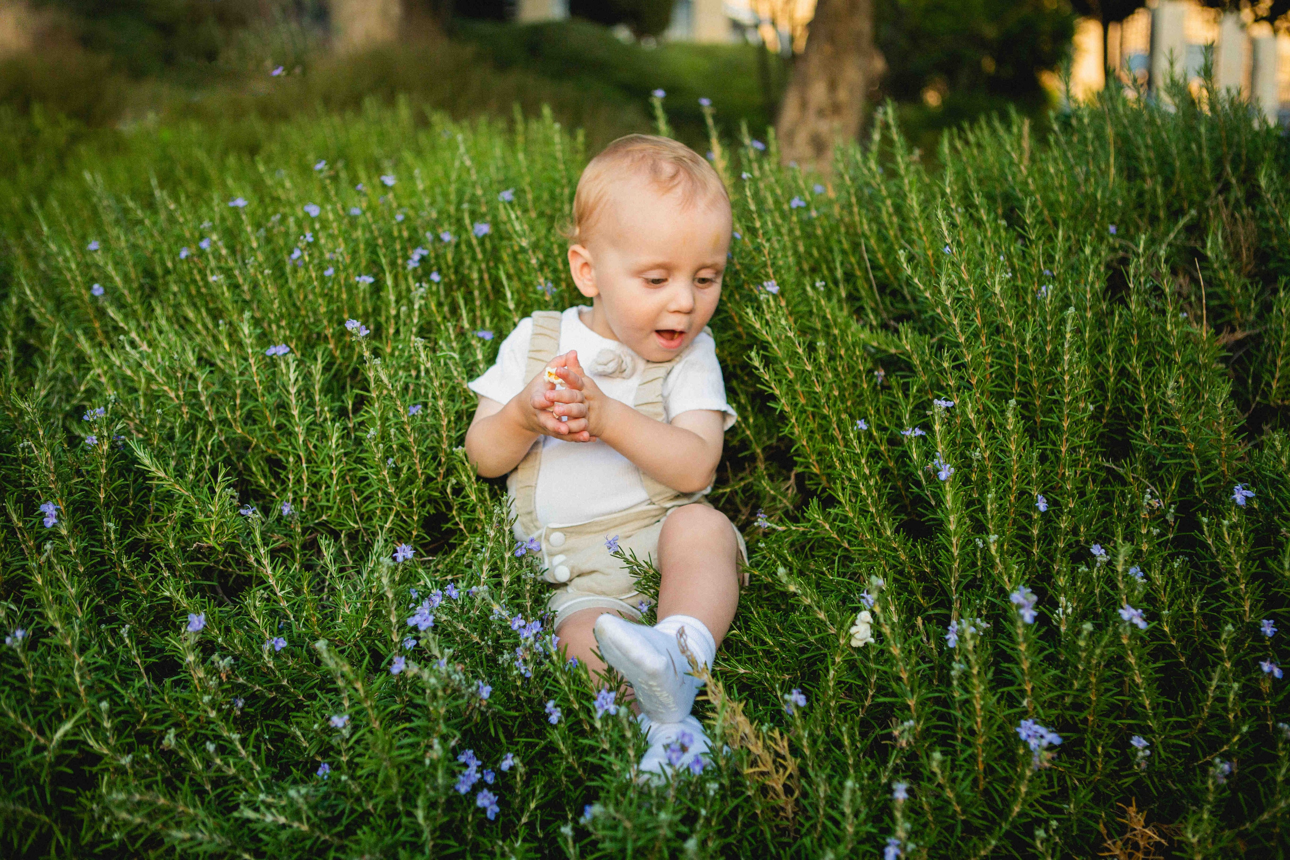 JERUSALEM CENTER. Https://shi-photo.com/