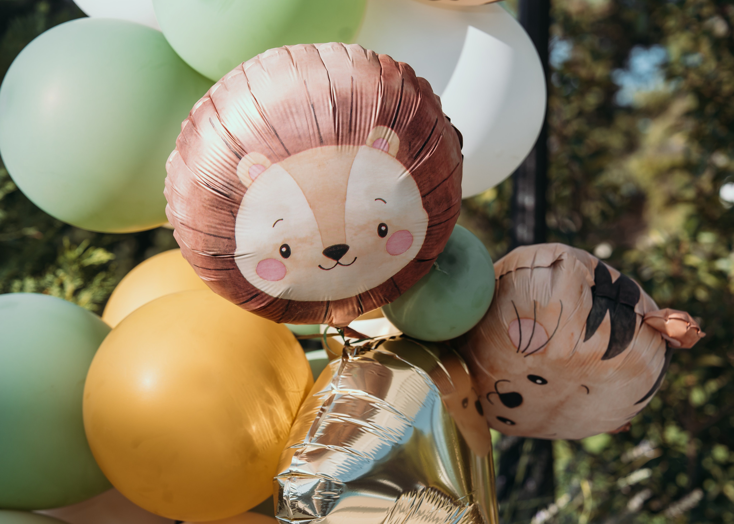 FOTOGRAFISANJE ROĐENDANA. DEČIJI FOTOGRAF BEOGRAD|NOVOGODISNJE FOTOGRAFISANJE|CAKE SMASH