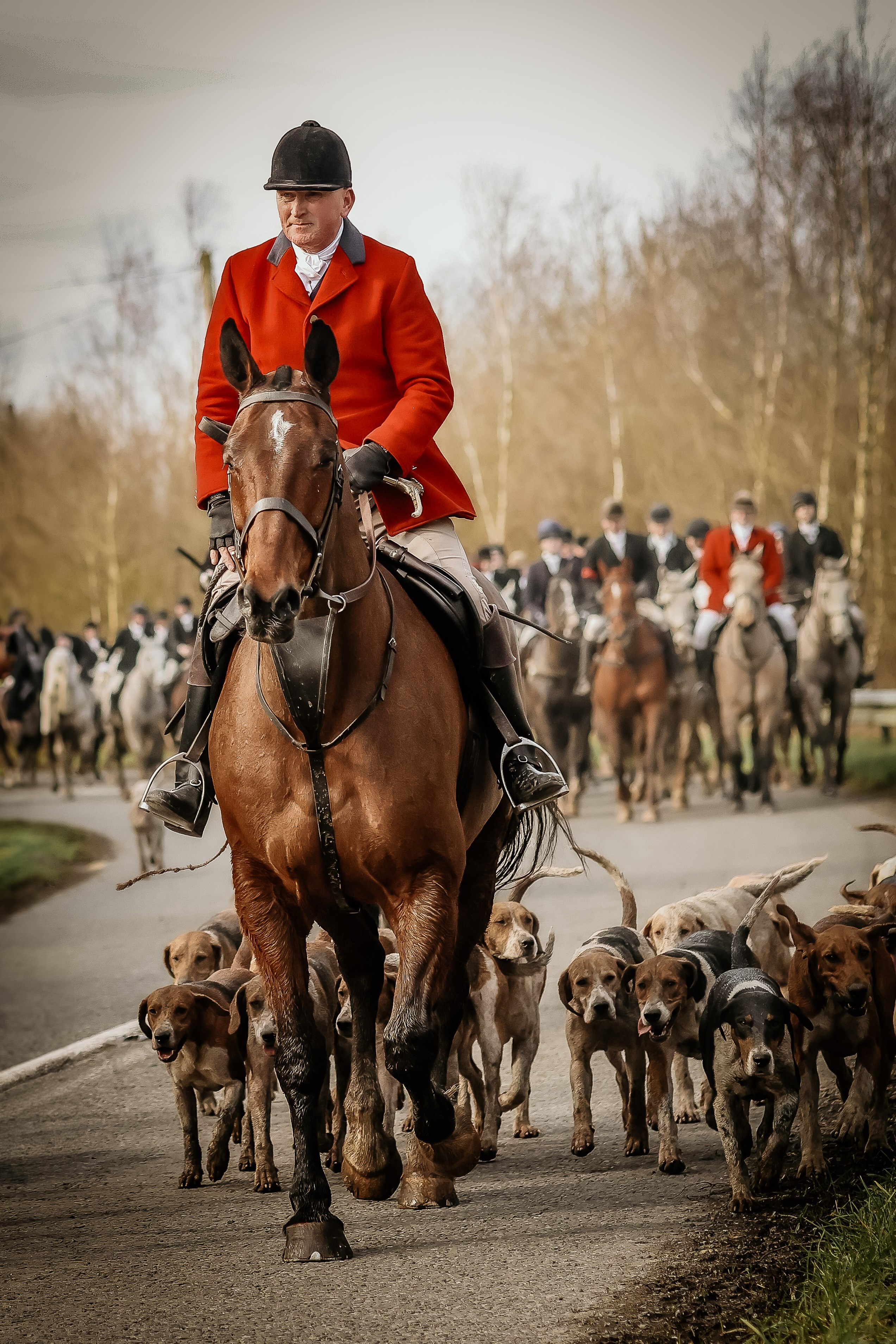 Hunting. Photographer Co Dublin, Balbriggan — Agata Maliseva
