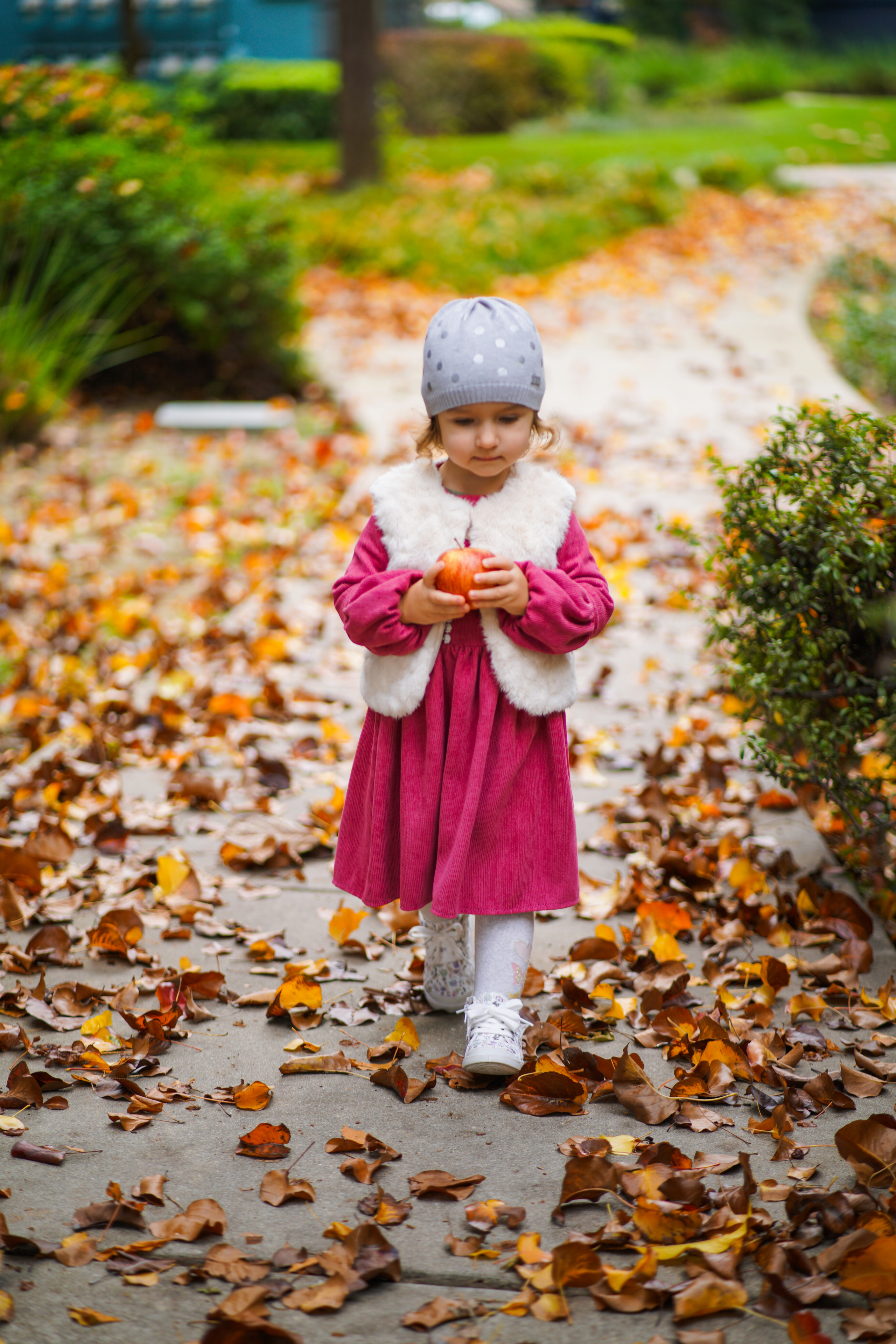 Photo Session. Sacramento Photographer — Olga Maltseva based in California