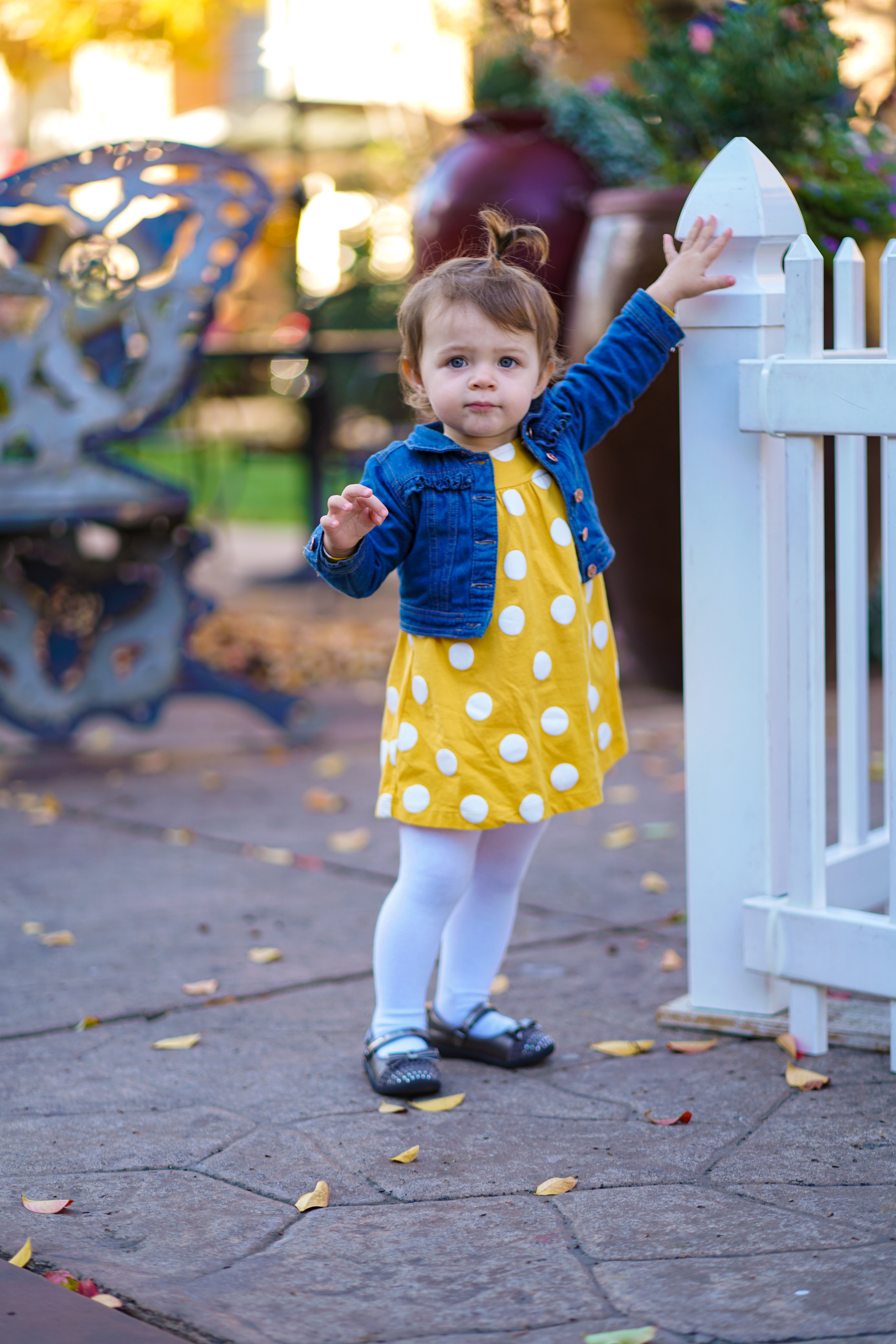 Milish Family. Sacramento Photographer — Olga Maltseva based in California