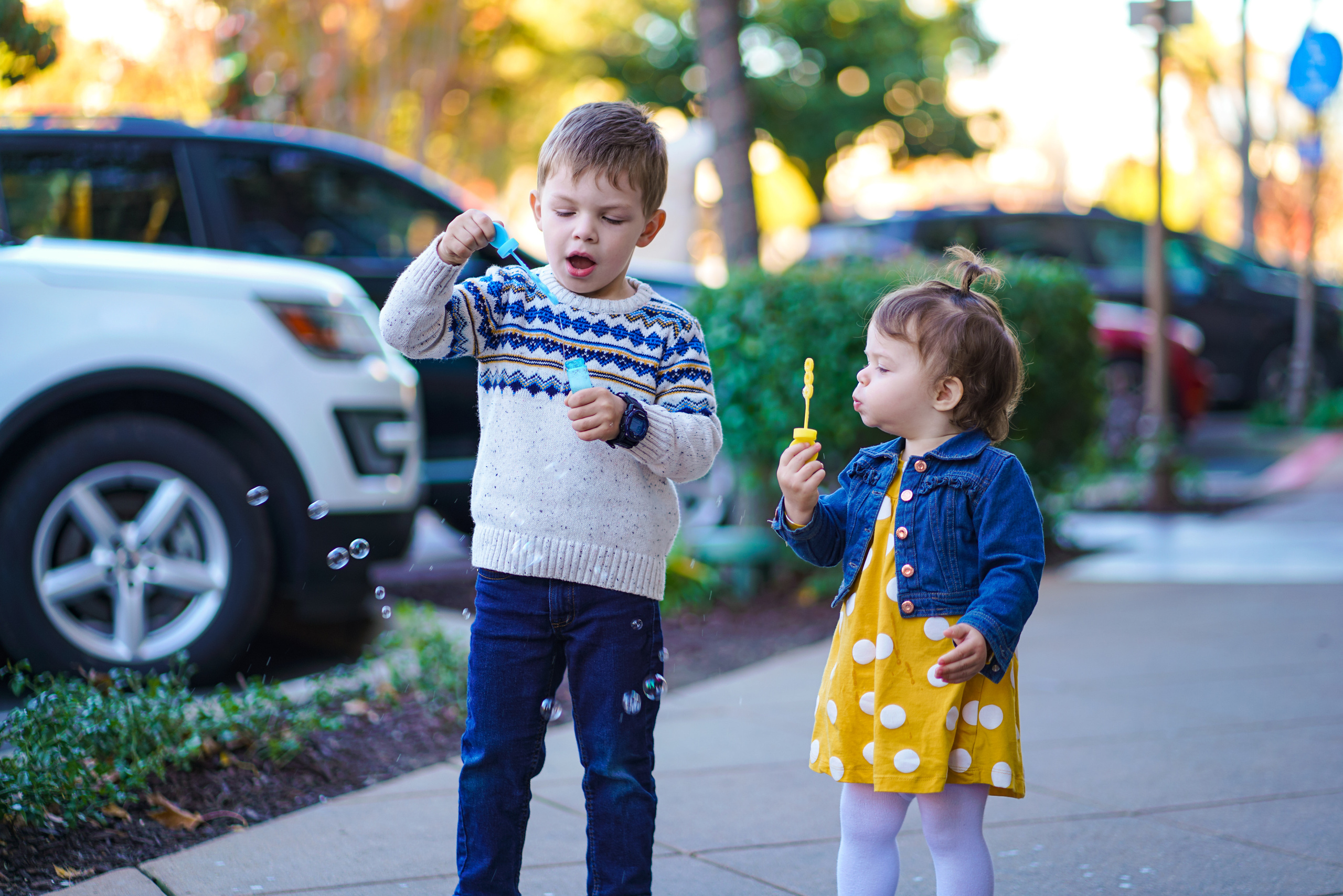 Milish Family. Sacramento Photographer — Olga Maltseva based in California