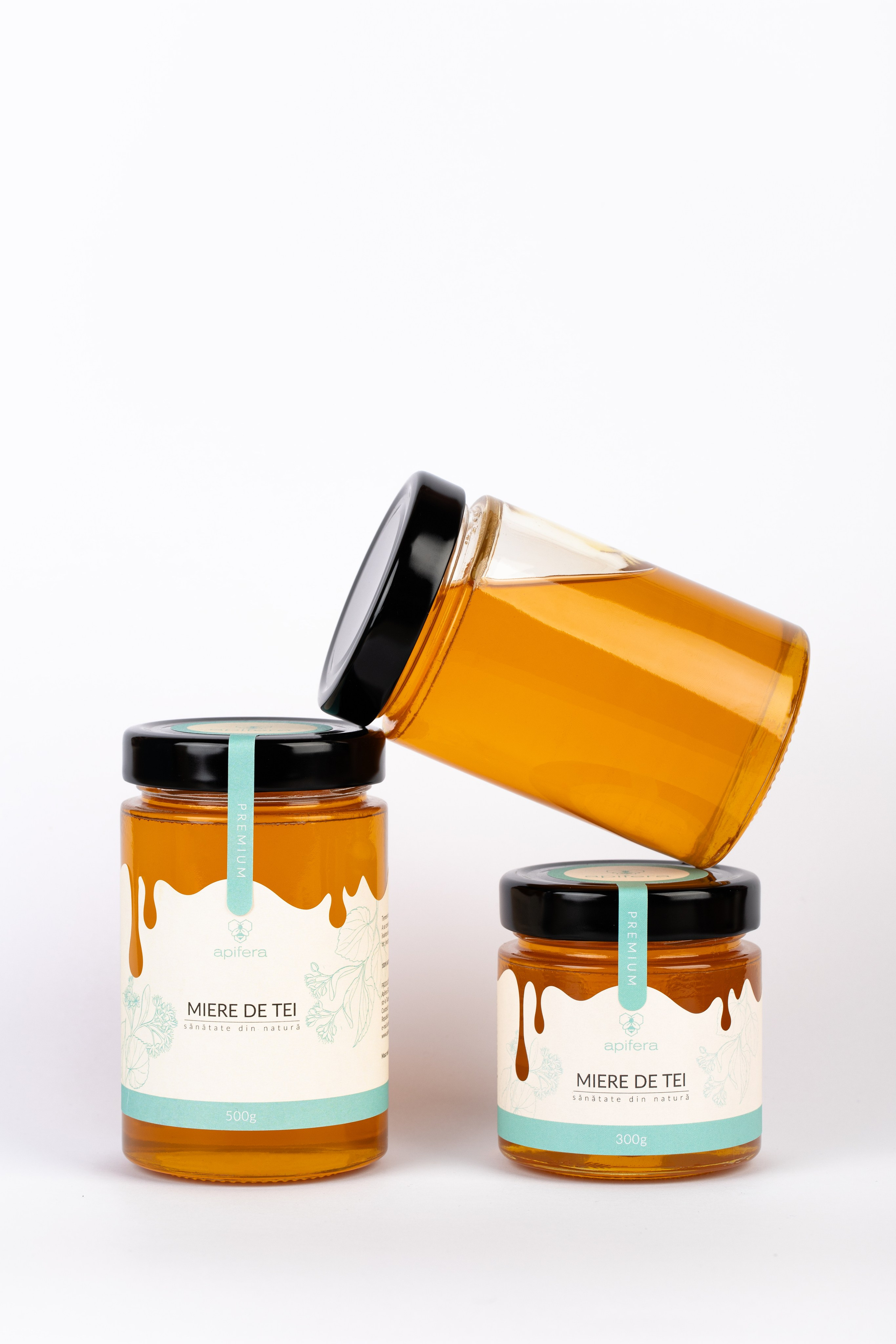 Catalog. Fotograf și Videograf | Chișinău, Moldova