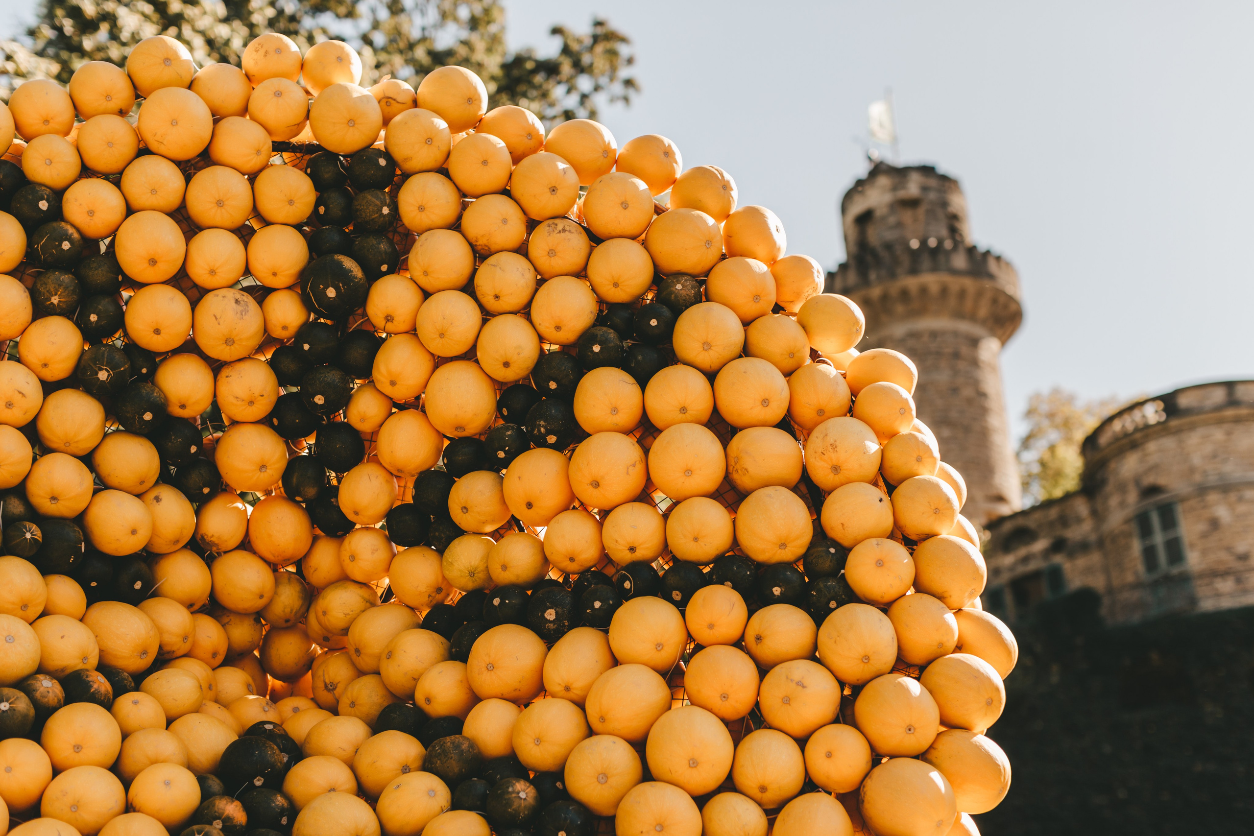 Фестиваль тыкв в Людвигсбурге. Фотограф в Германии — Мария Чистякова