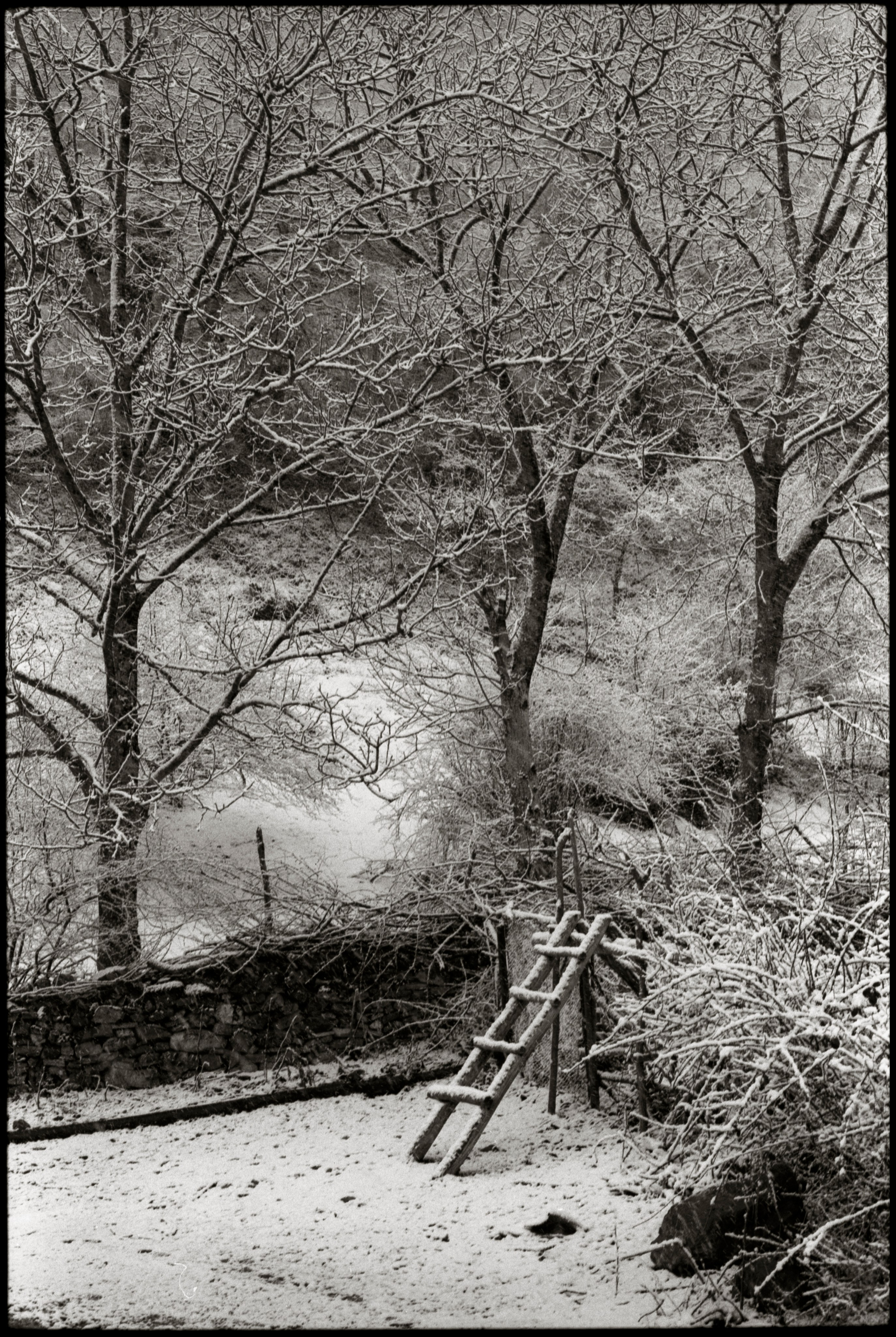 Kish village. Www.sananaleskerov.com