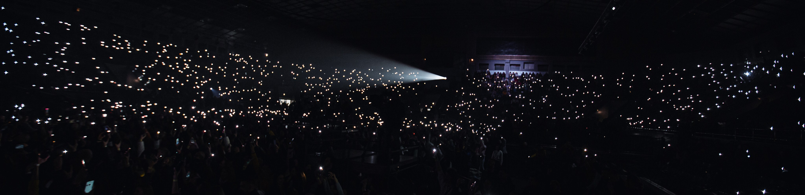 Antytila. Репортажний фотограф/анімаліст КИЇВ