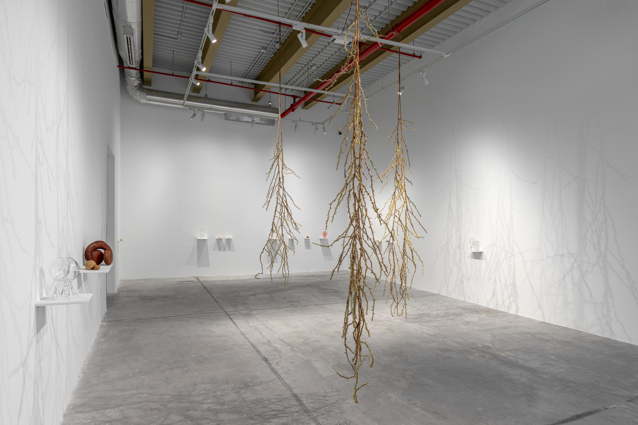 Nika Project Space “Beghost”