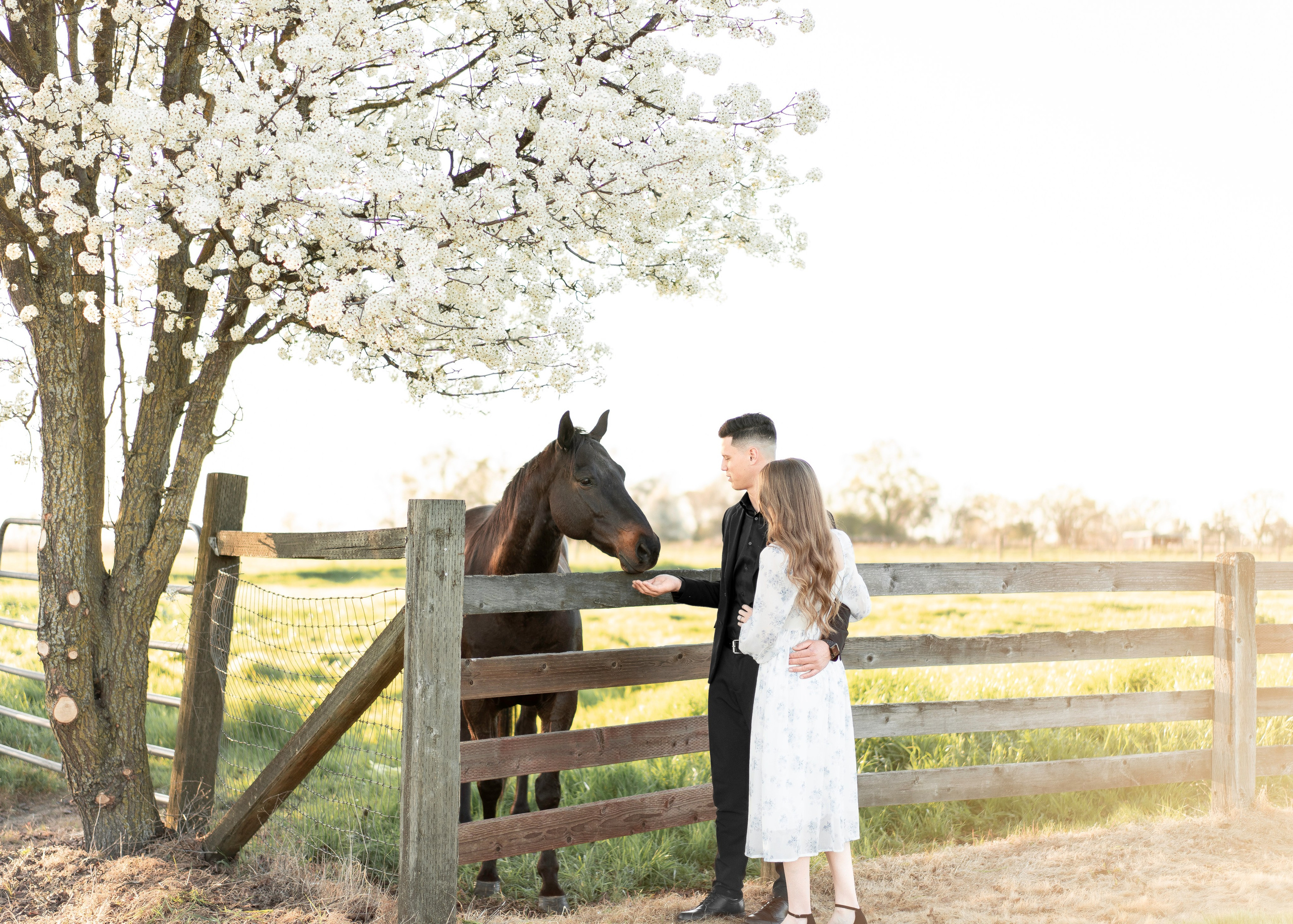 Artem & Lida. Family photographer in Sacramento | Sofia Pavenko