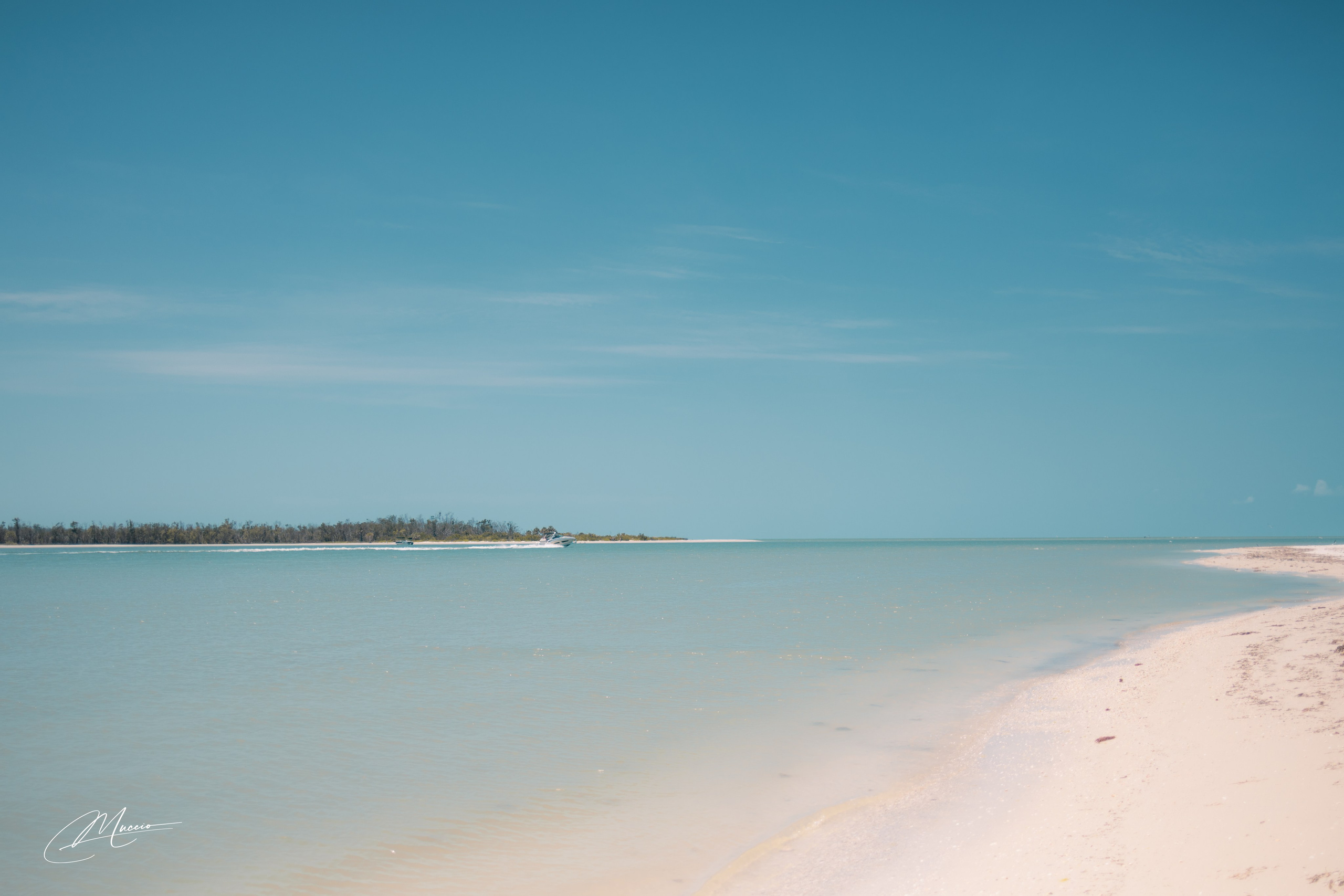 Fort Myers. Out and About 239