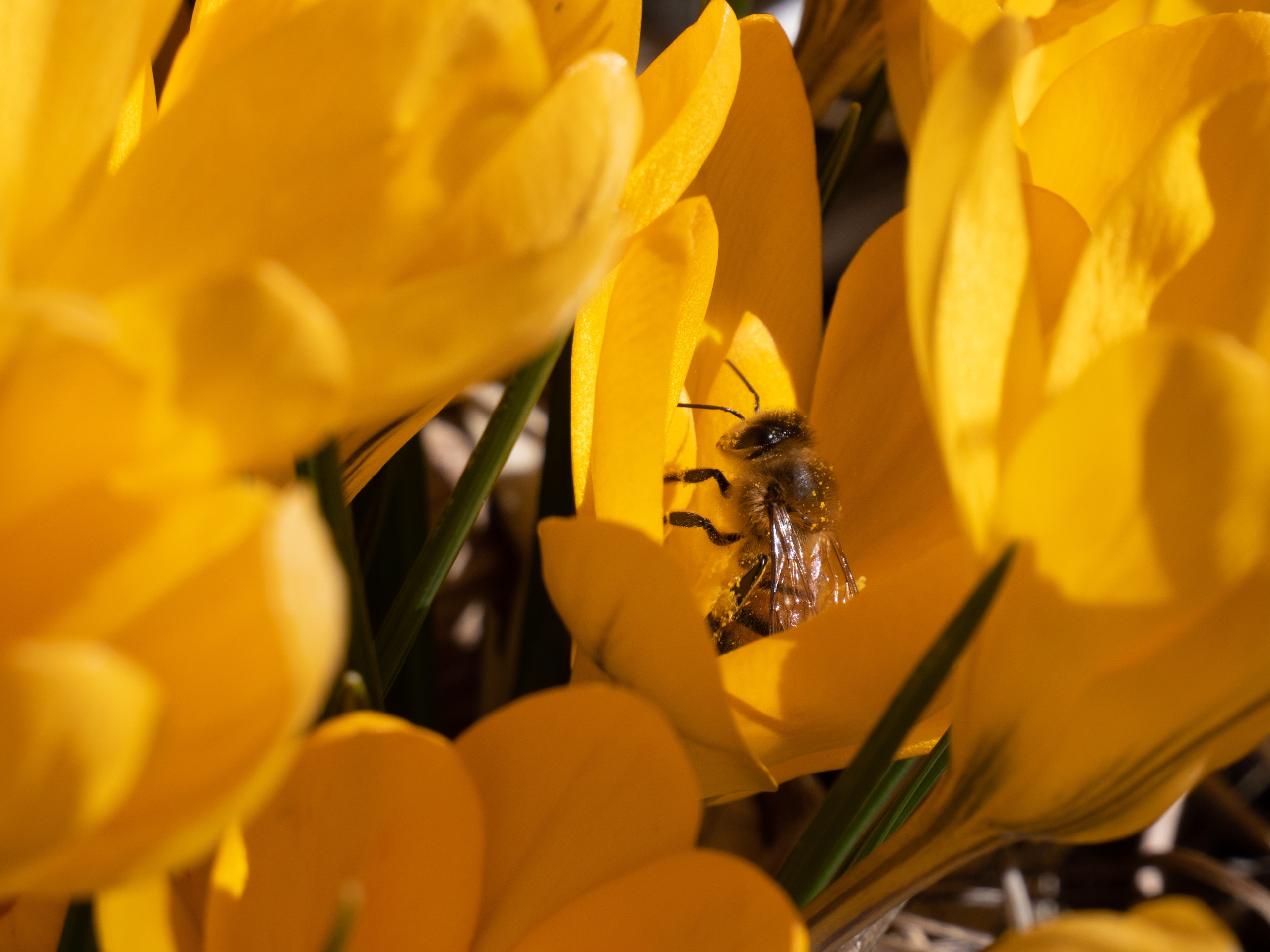 Portfolio. Photographer in Sotenäs municipality. Fotograf i Sotenäs kommun