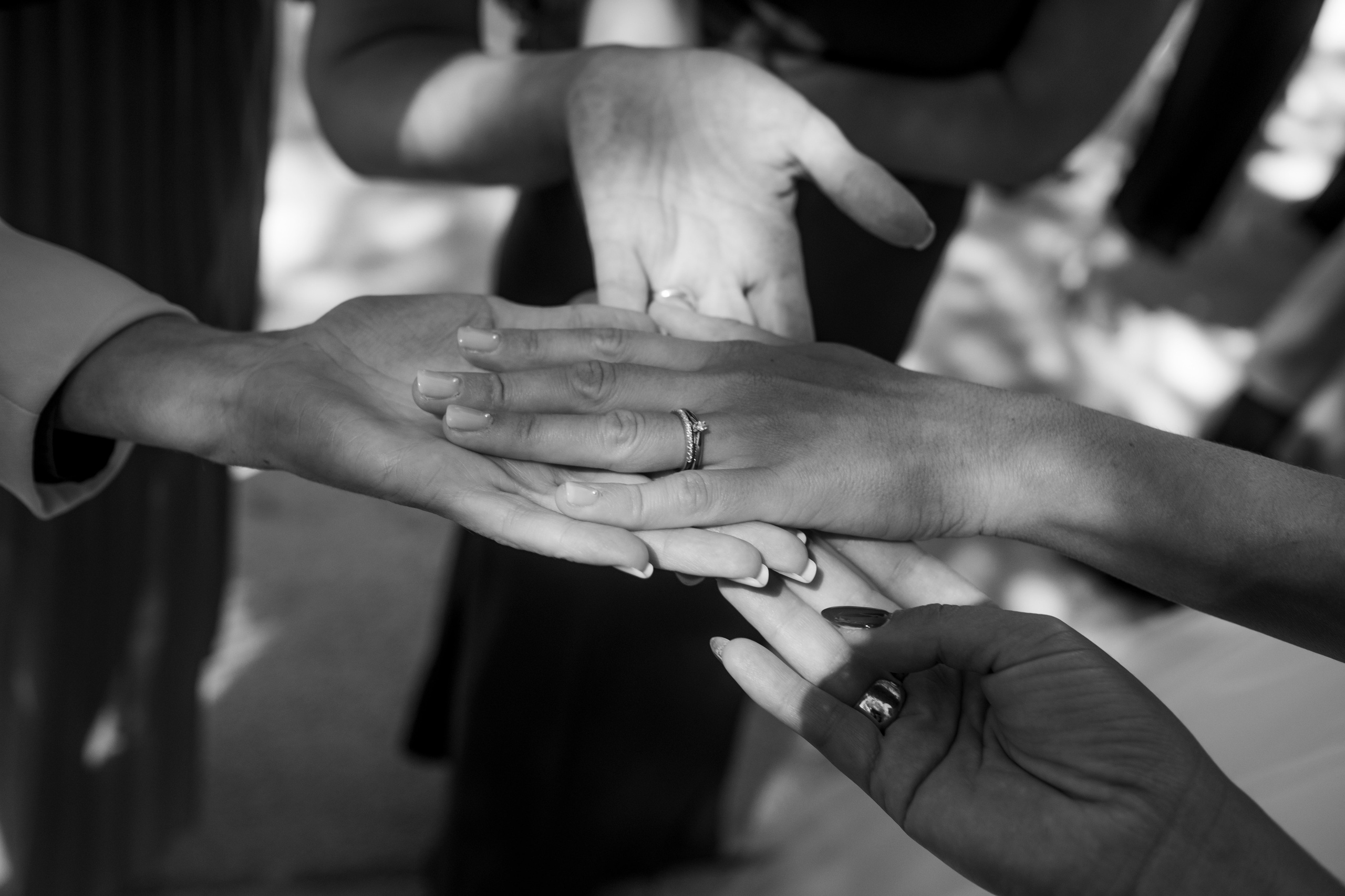 Dasha & Ister. Vivood Landscape. Paola fotógrafo / videografo de bodas en Barcelona