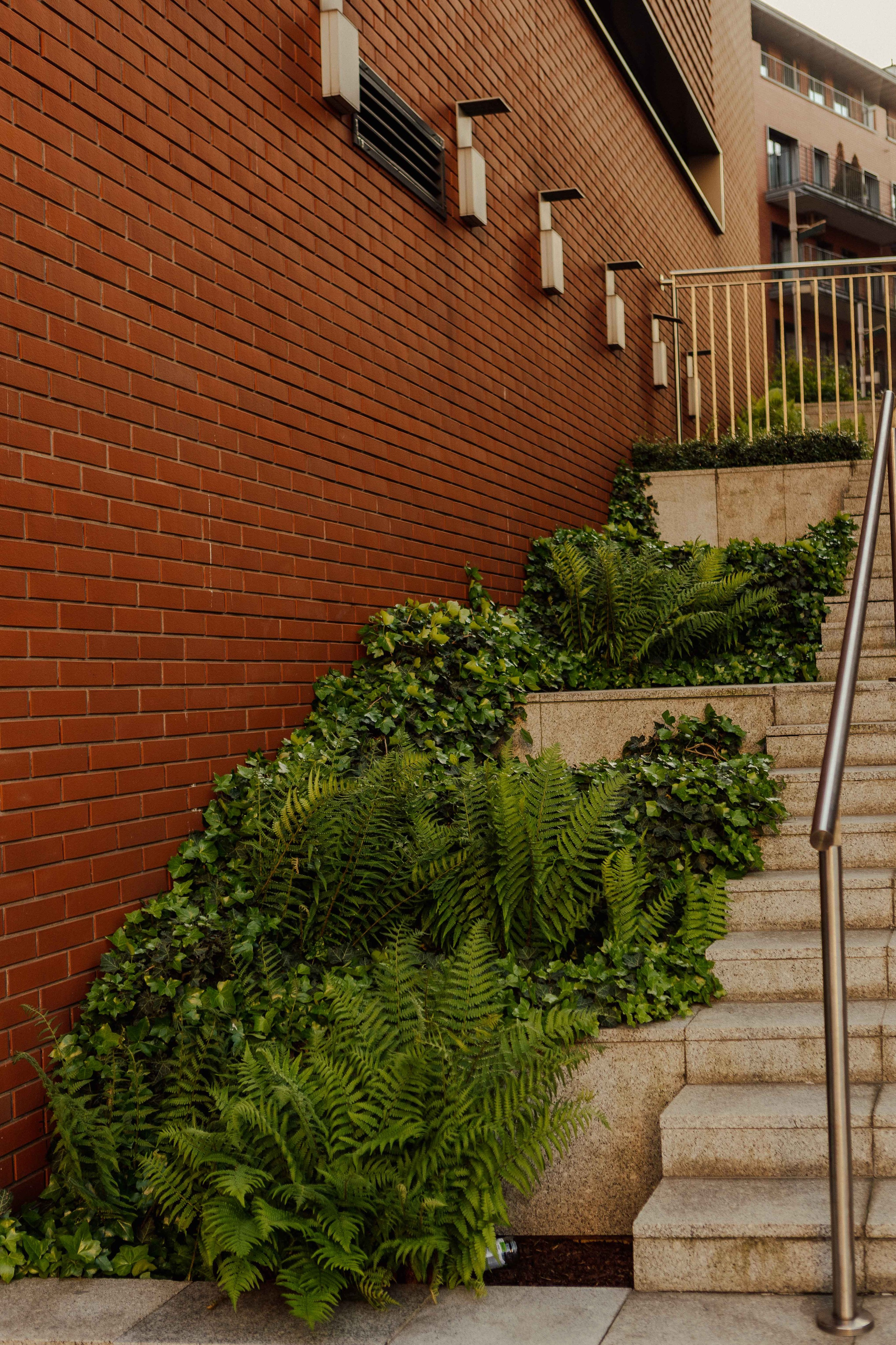 Prywatna firma architekta. Fotograf w Krakowie i Europie