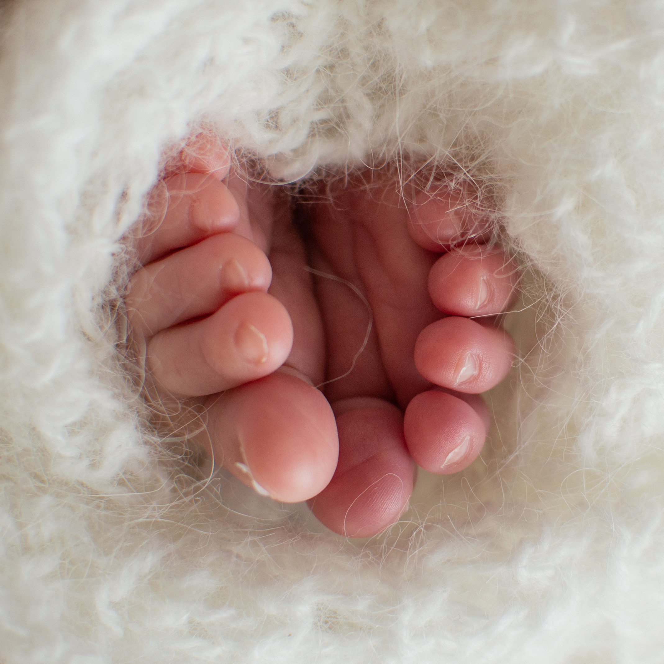 Новорожденные малыши (ньюборн newborn). Фотограф новорожденных в Темиртау и Караганде Любовь Жукова newborn