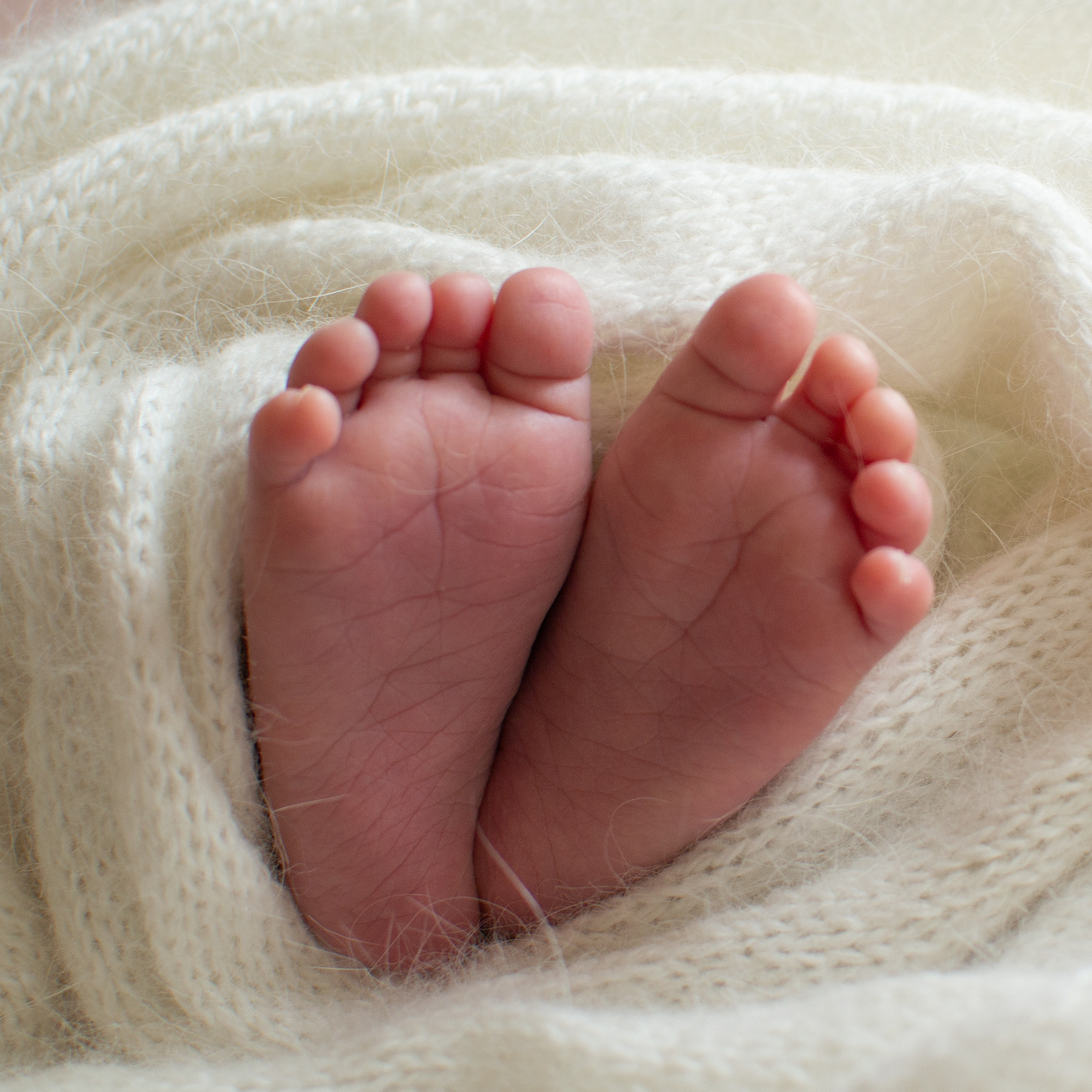 Анюта. Фотограф новорожденных в Темиртау и Караганде Любовь Жукова newborn