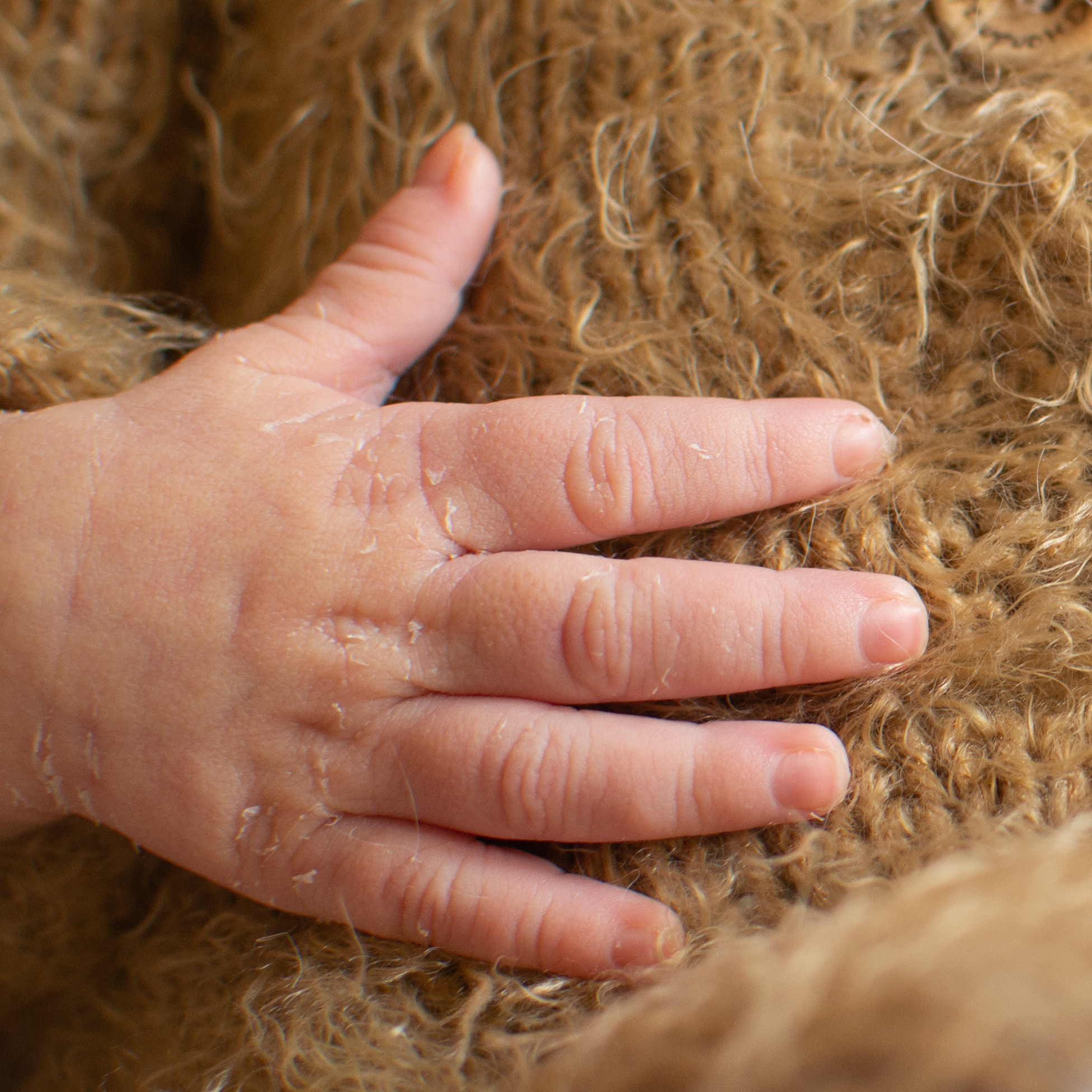 Анюта. Фотограф новорожденных в Темиртау и Караганде Любовь Жукова newborn