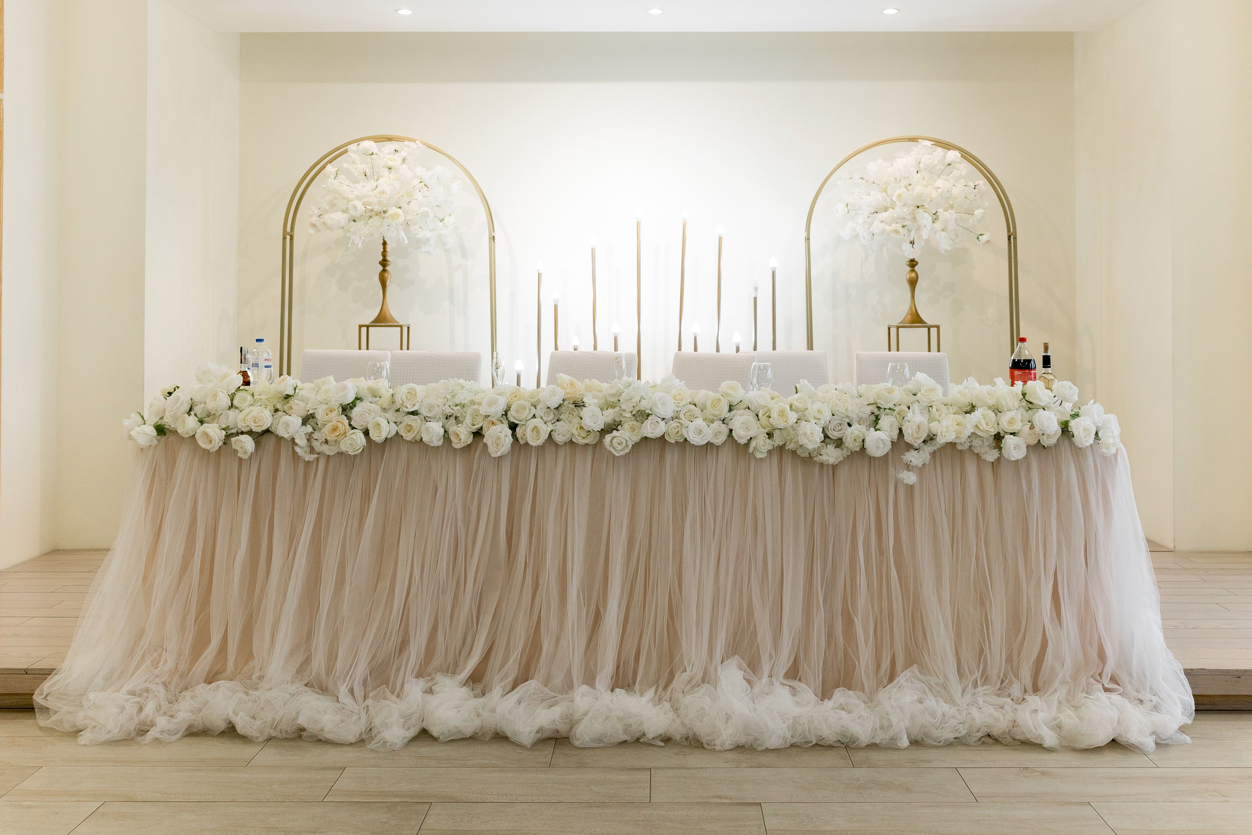 Anna Dmytro. Ірина Терещук