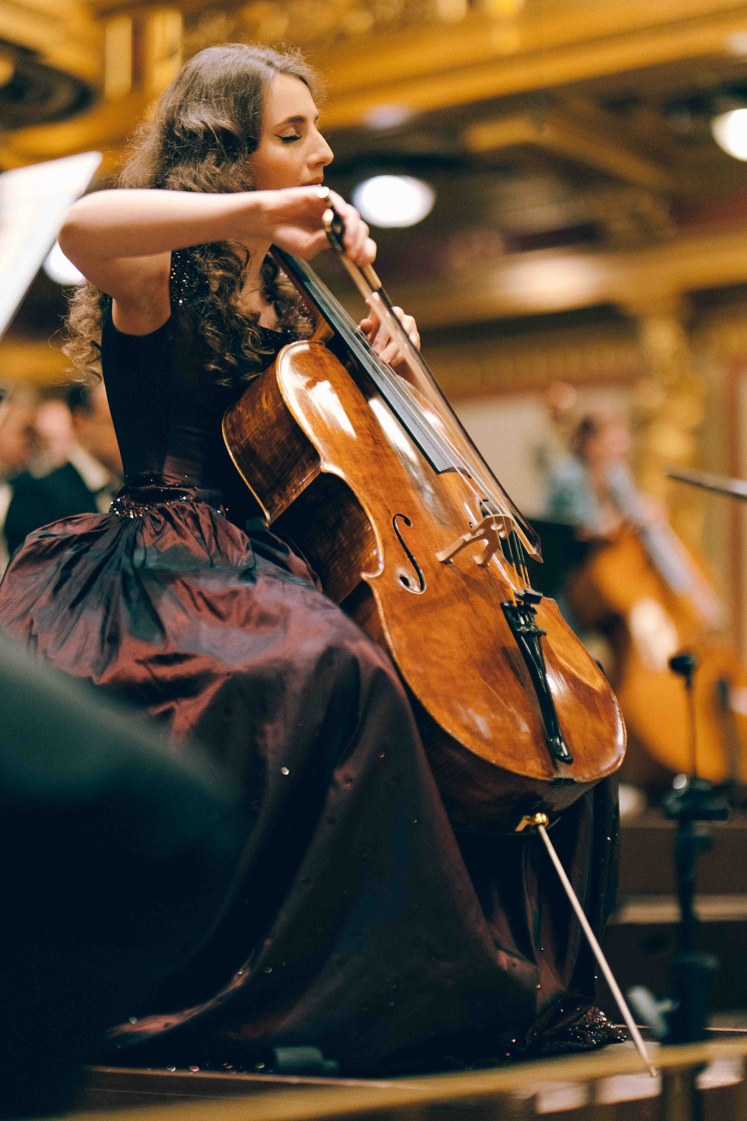 MUSIKVEREIN (VIENNA). Wedding&Event photographer Ismail Rzayev in Baku
