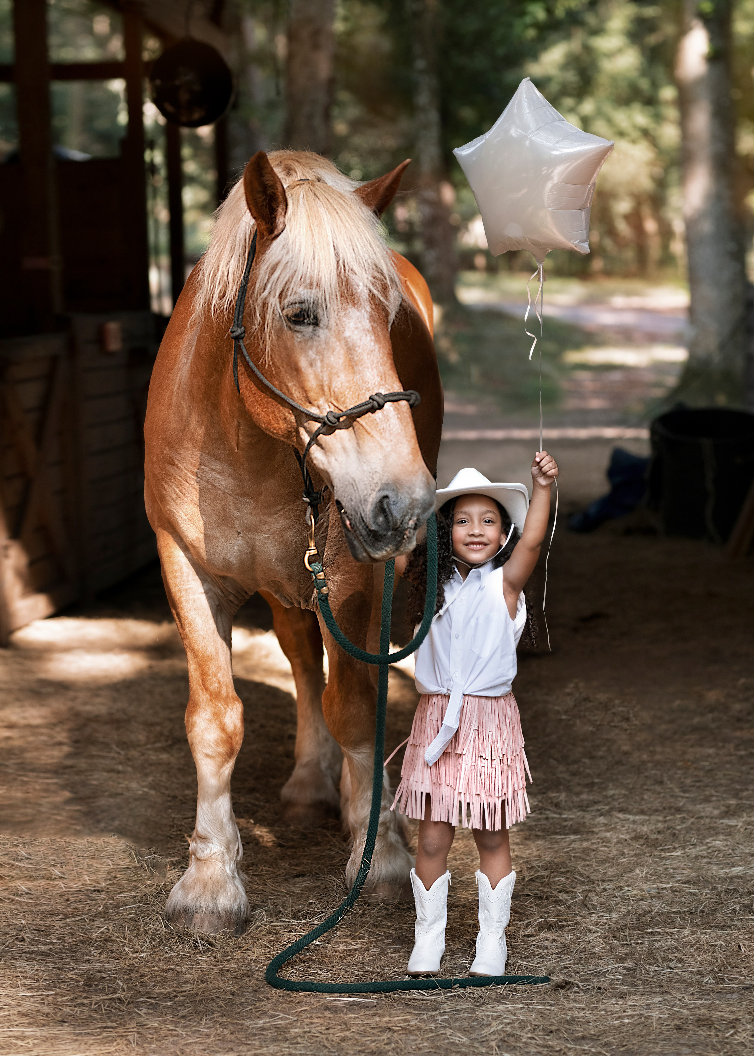 Birthday. Portrait, kids and family photographer in Wesley Chapel Alina Alice Osipova