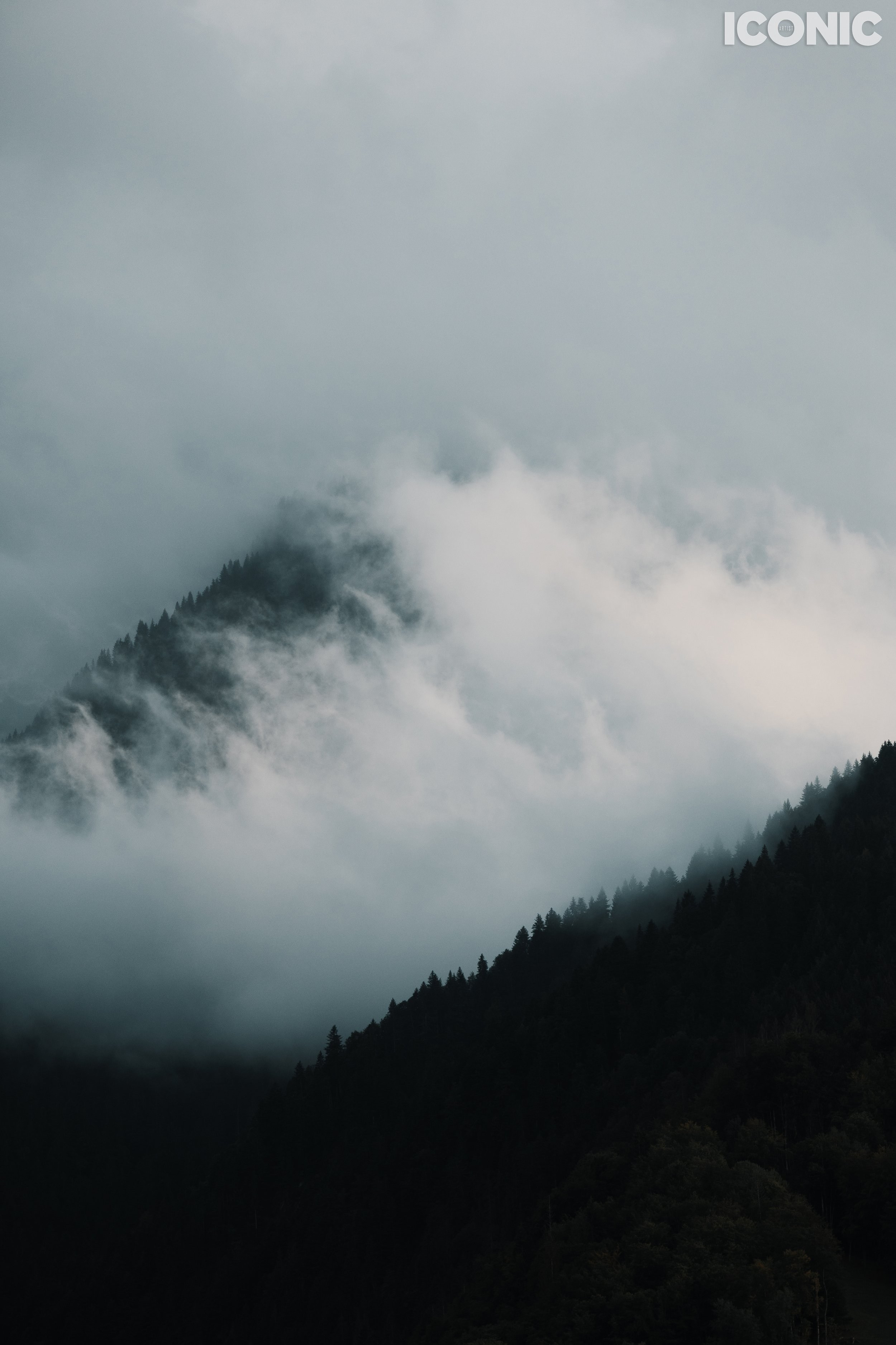 Publications. OLGA REPTIK