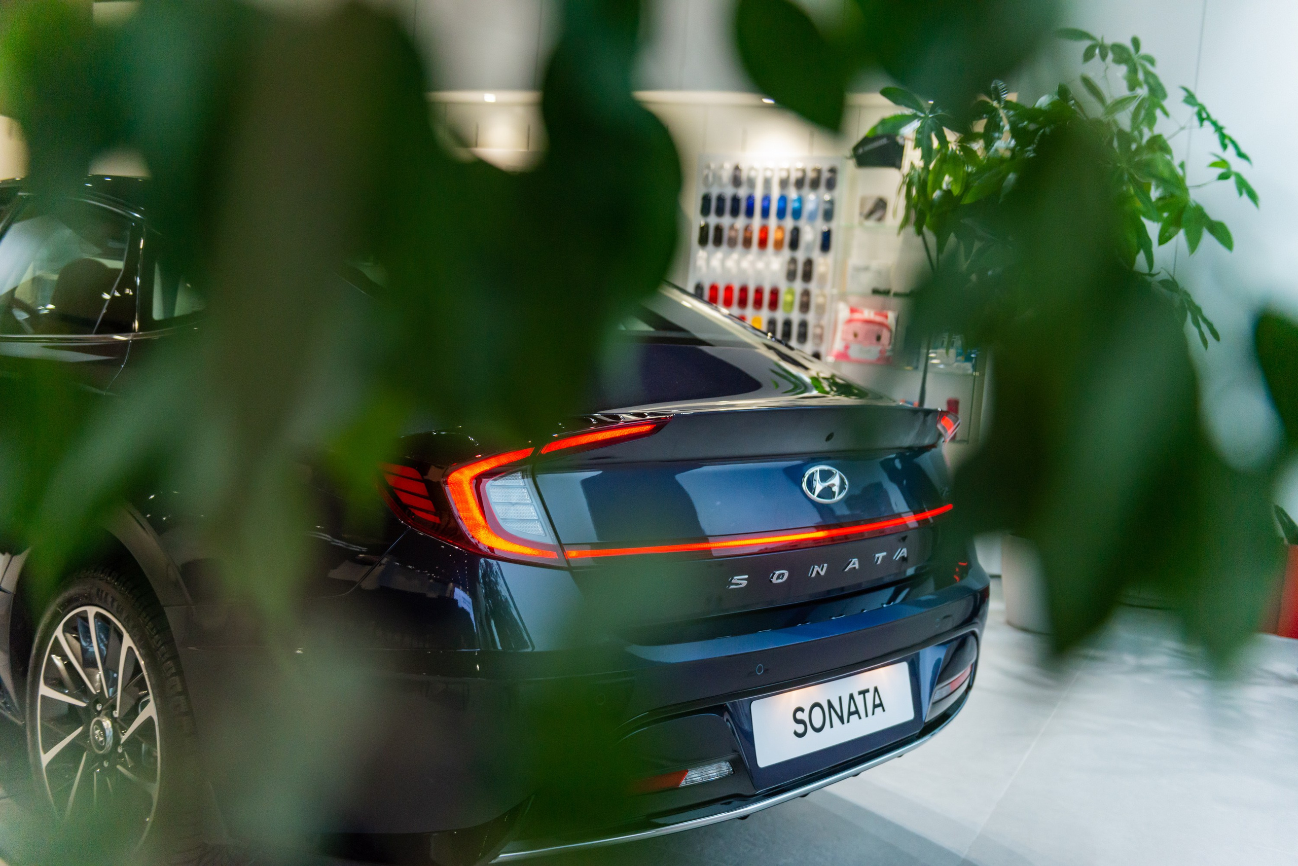 Reportage shooting. PHOTOGRAPHER QUINTANA ROO