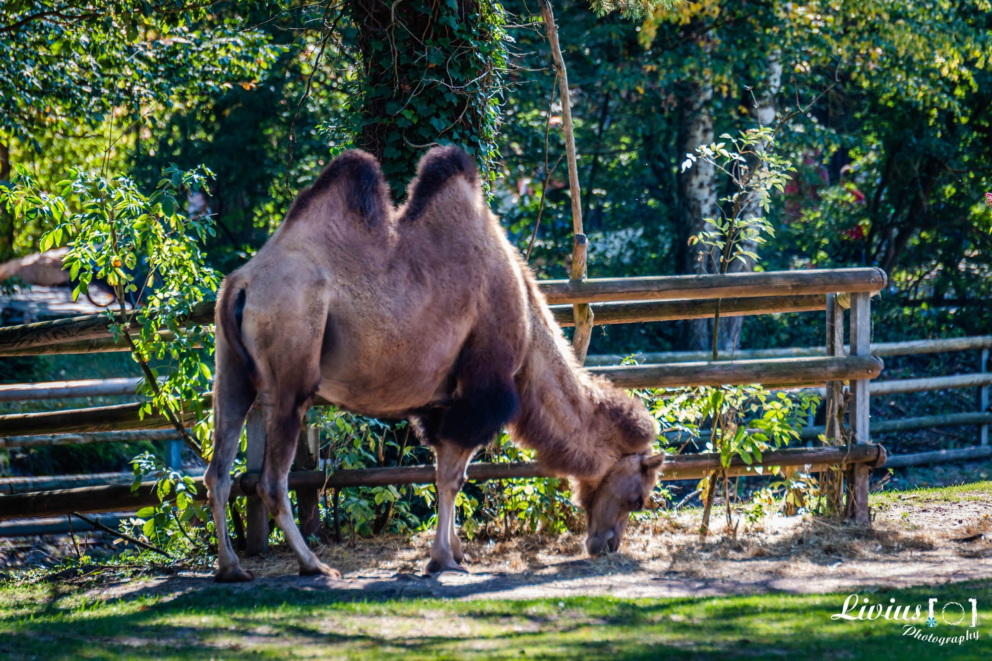 Tierpark Nürnberg. FOTO KREATIV