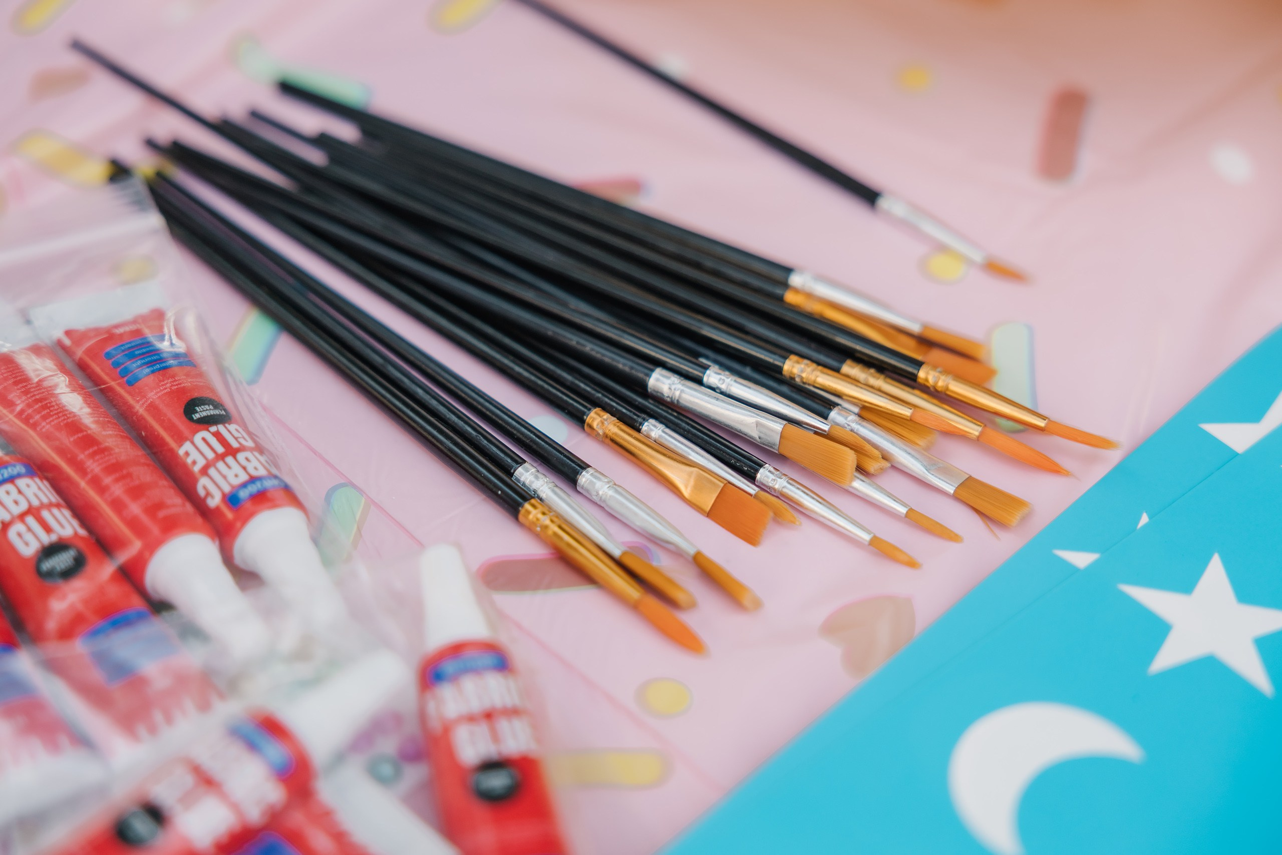 Birthday Party. Wedding family event photographer in Chicago Nick Yushevich