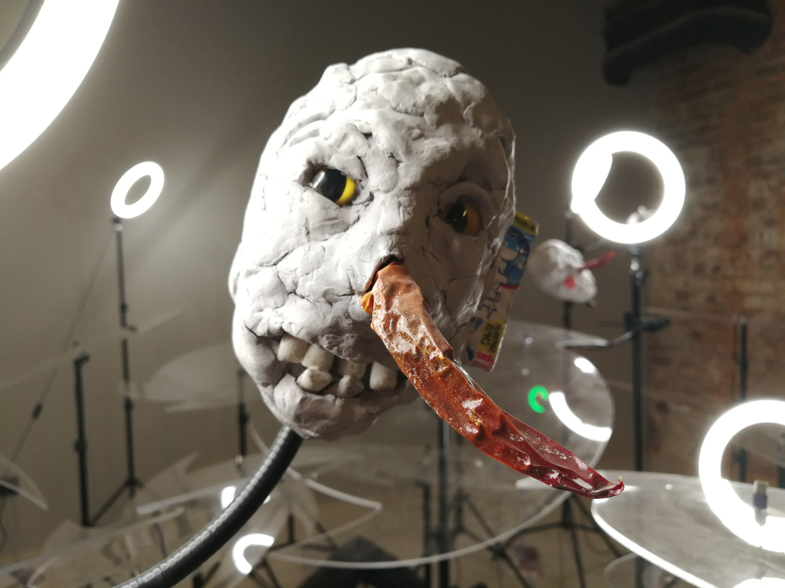 Home. Katya Bogachevskaya — independent curator, lecturer