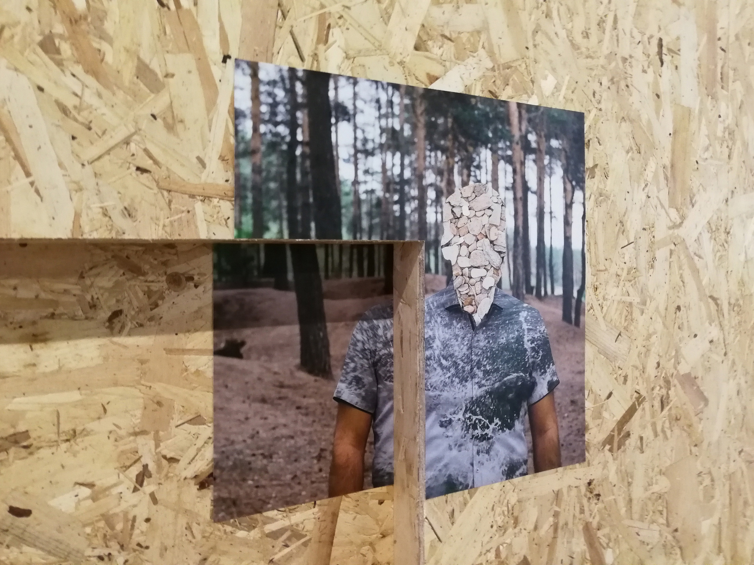 Home. Katya Bogachevskaya — independent curator, lecturer