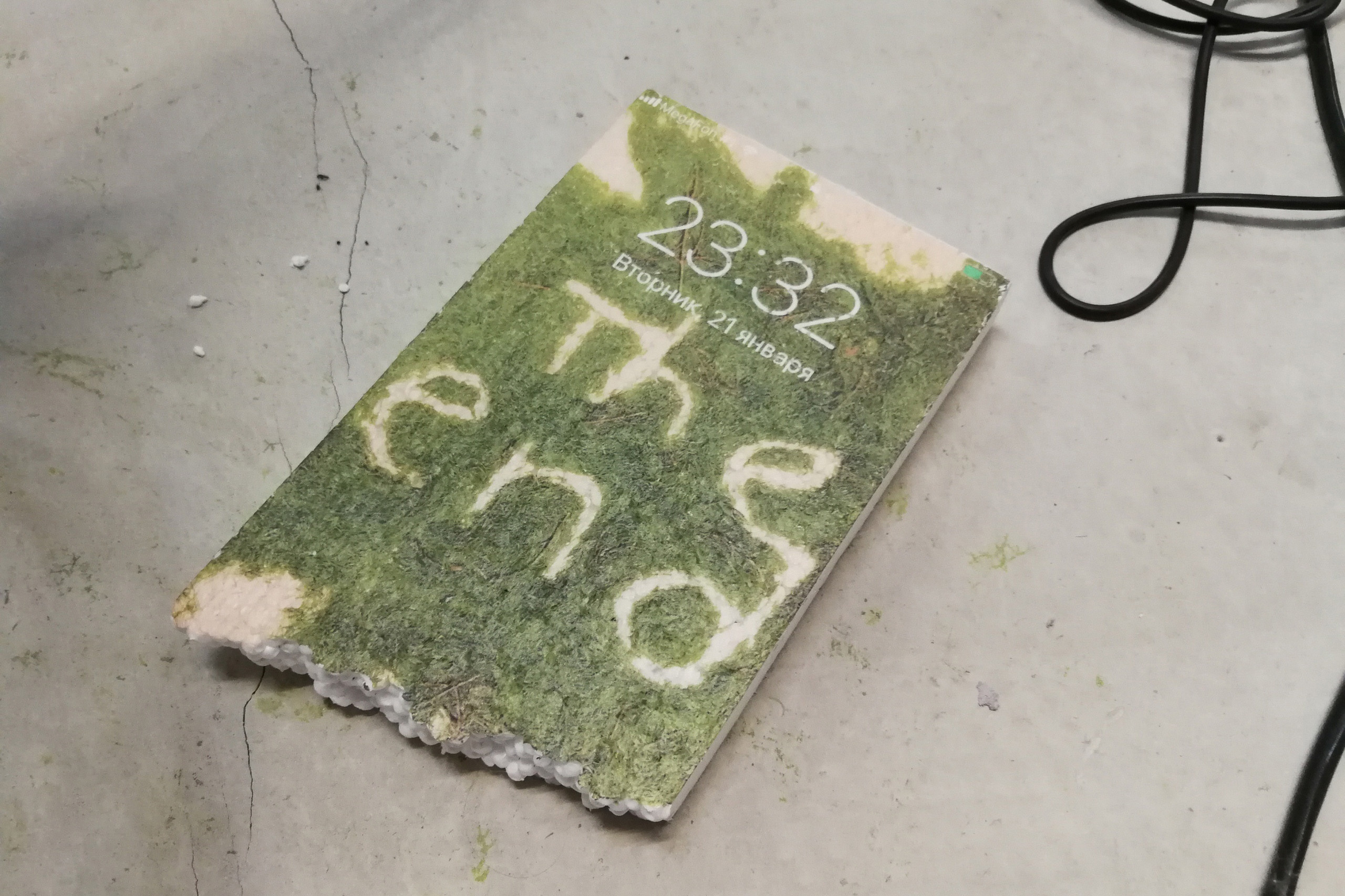 Home. Katya Bogachevskaya — independent curator, lecturer