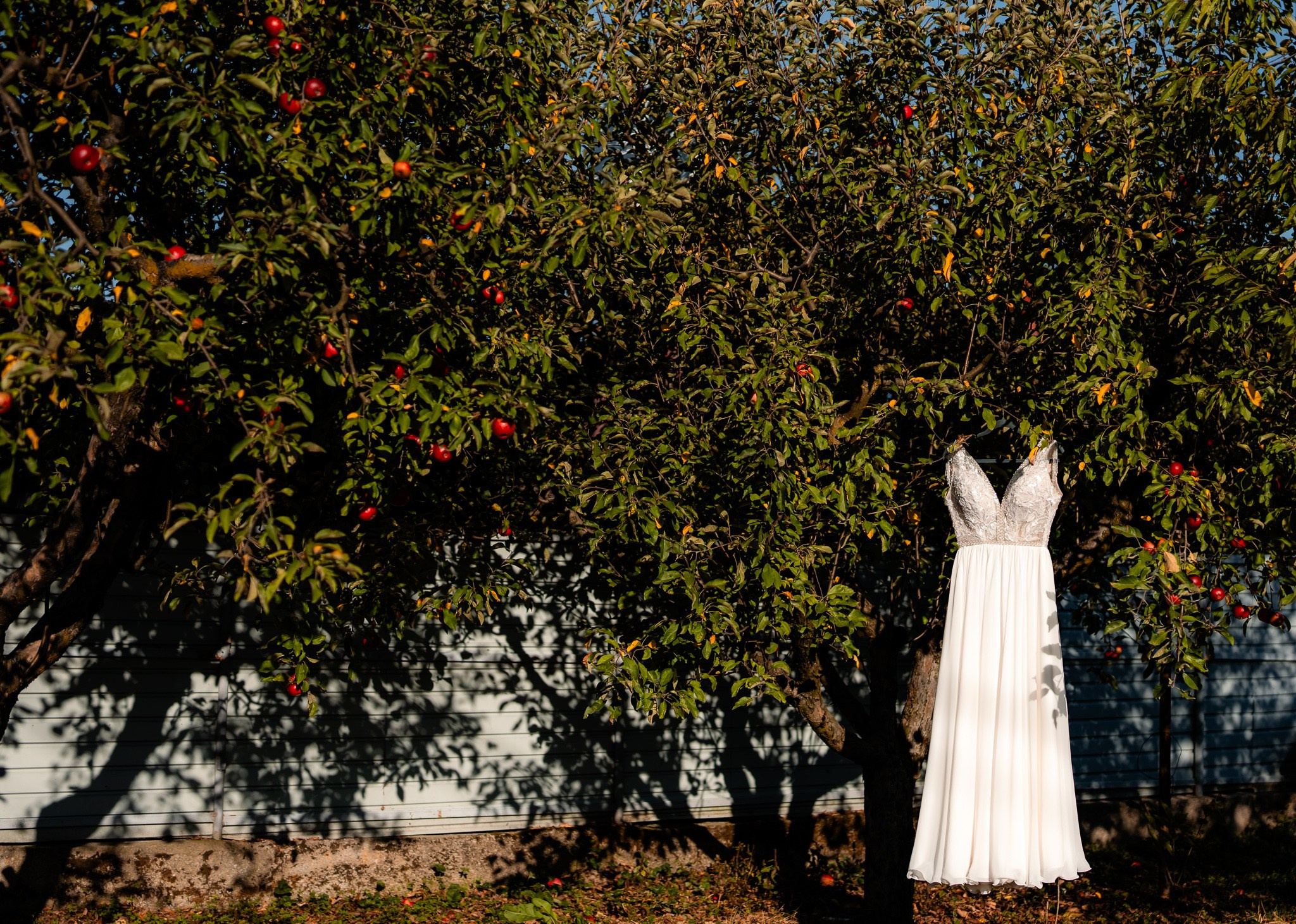 Laura — Edi | Pitesti