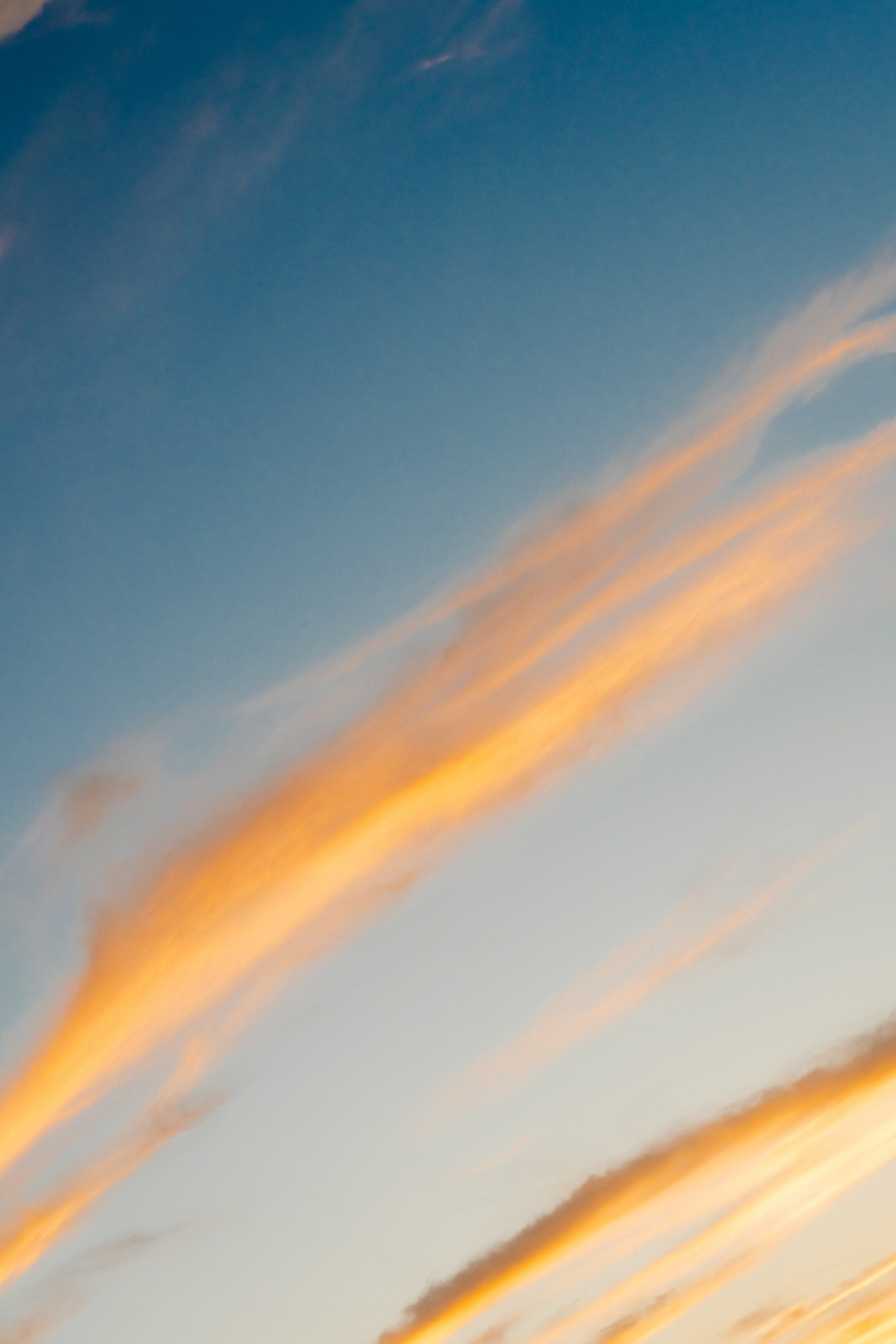 Dayna and Douglas. Wedding photographer and videographer New York | New Jersey