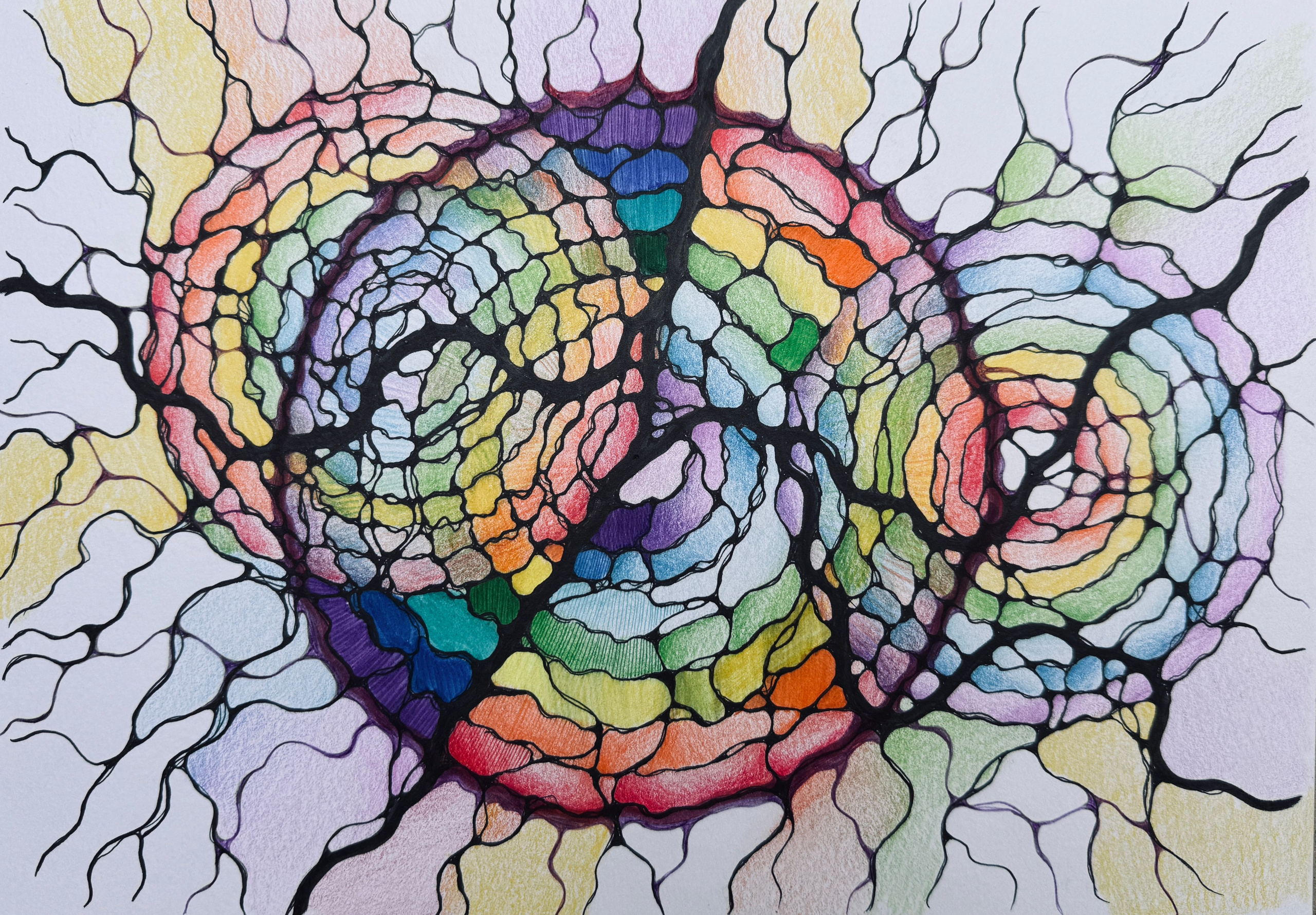 Moje slike. Numerologija. Nevrografika. Delavnice