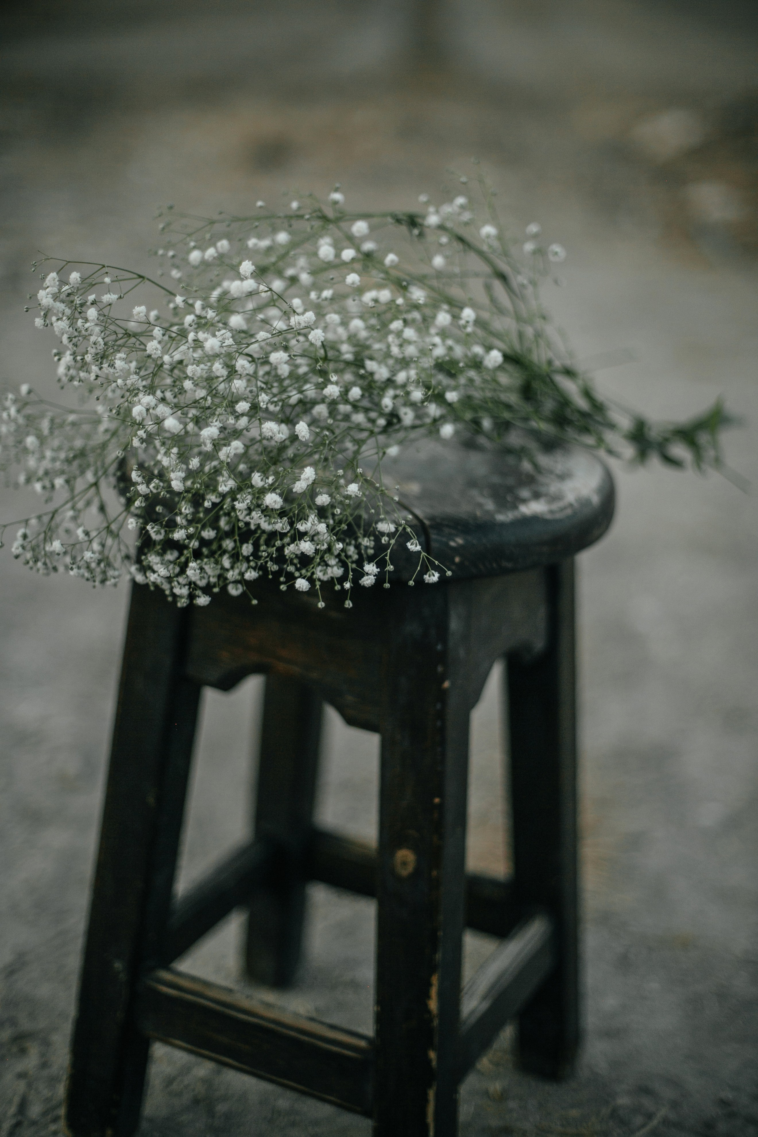 Kiryat Tivon field. Family photographer in Israel