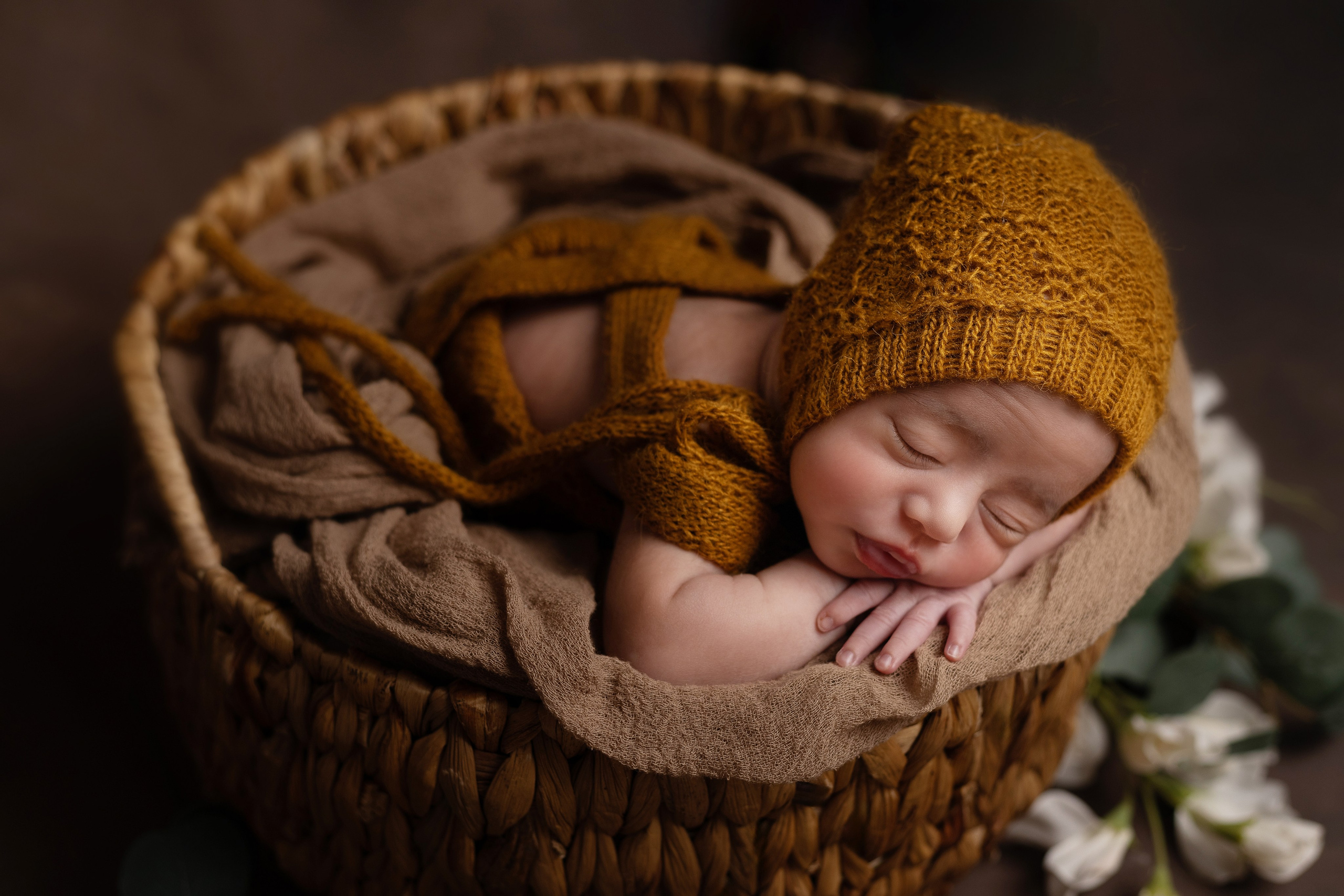 Family and newborn photographer